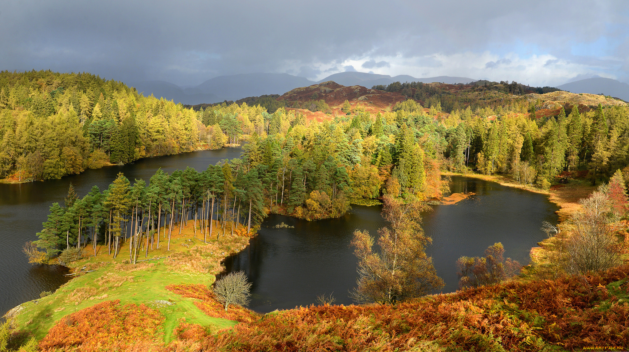 природа, реки, озера, река, лес