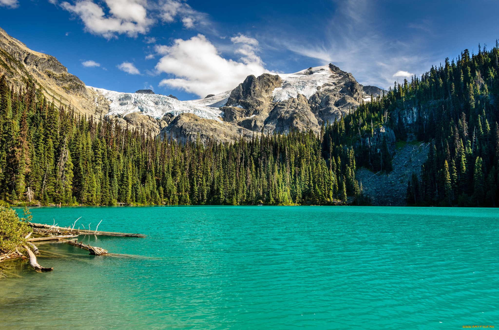 природа, реки, озера, лес, река