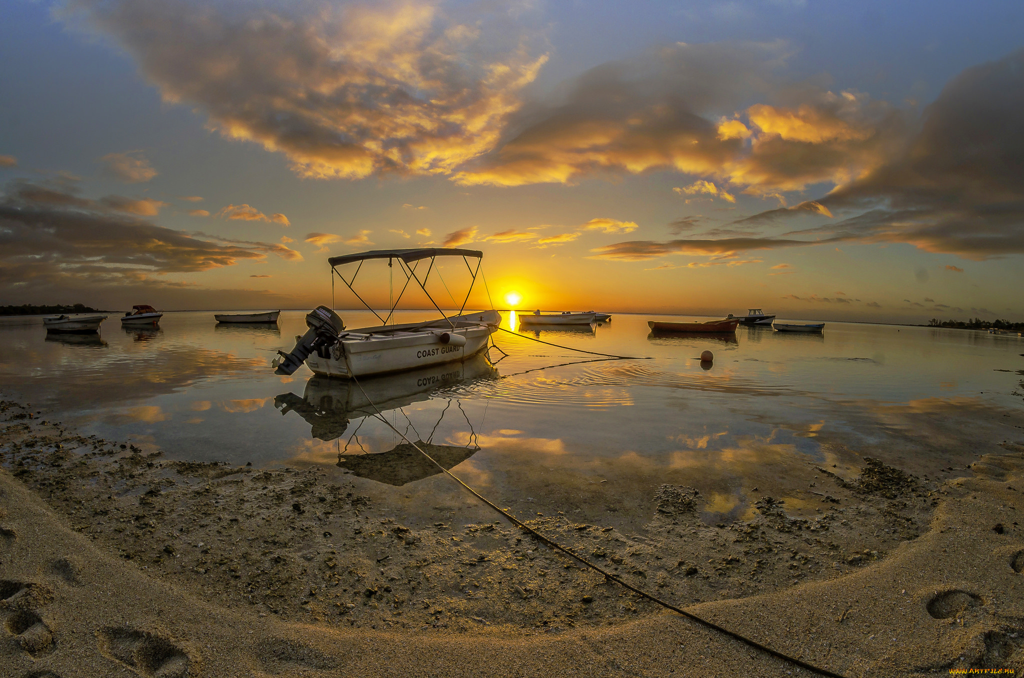 корабли, моторные, лодки, река, лес