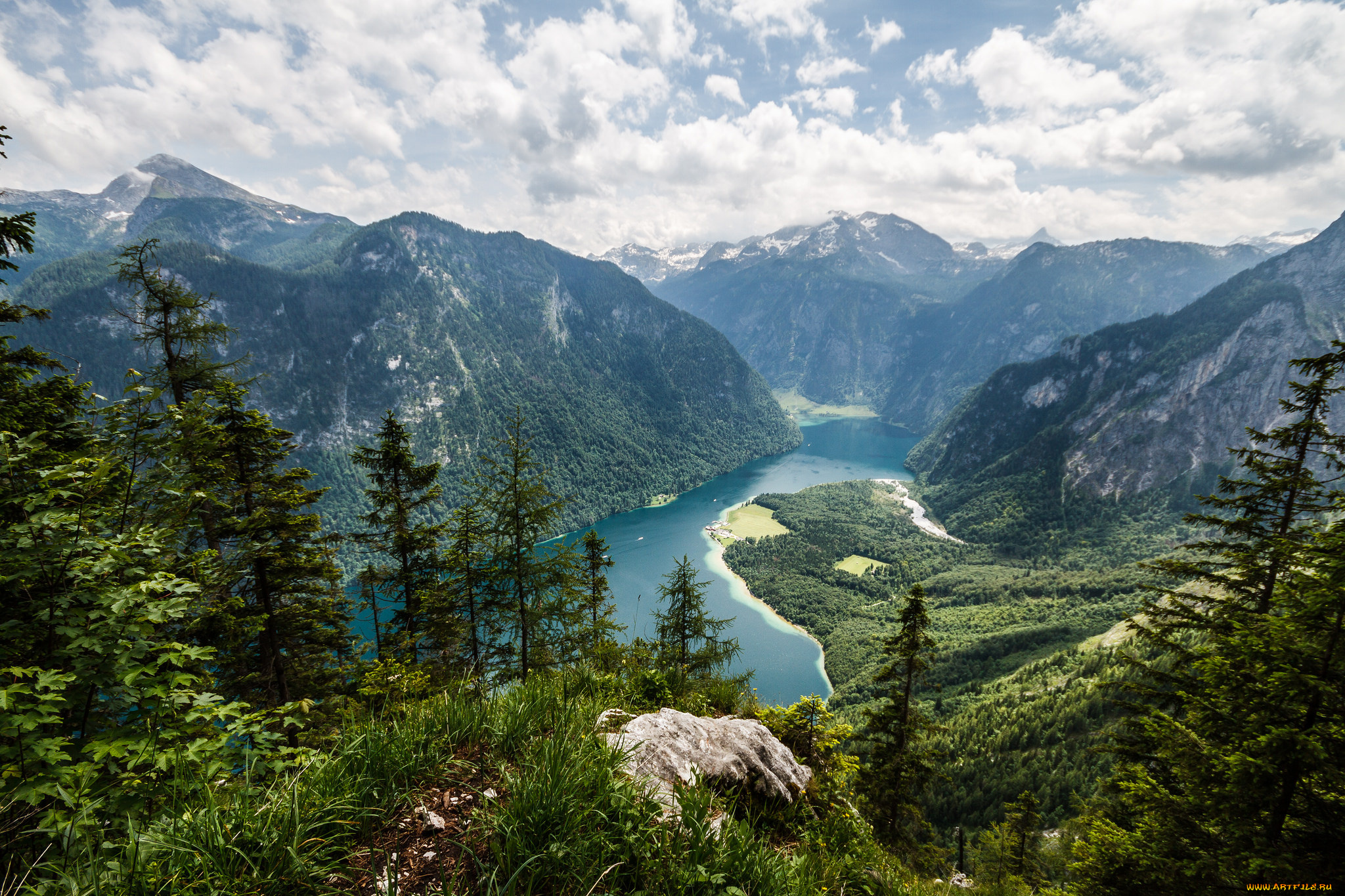 природа, реки, озера, река, лес