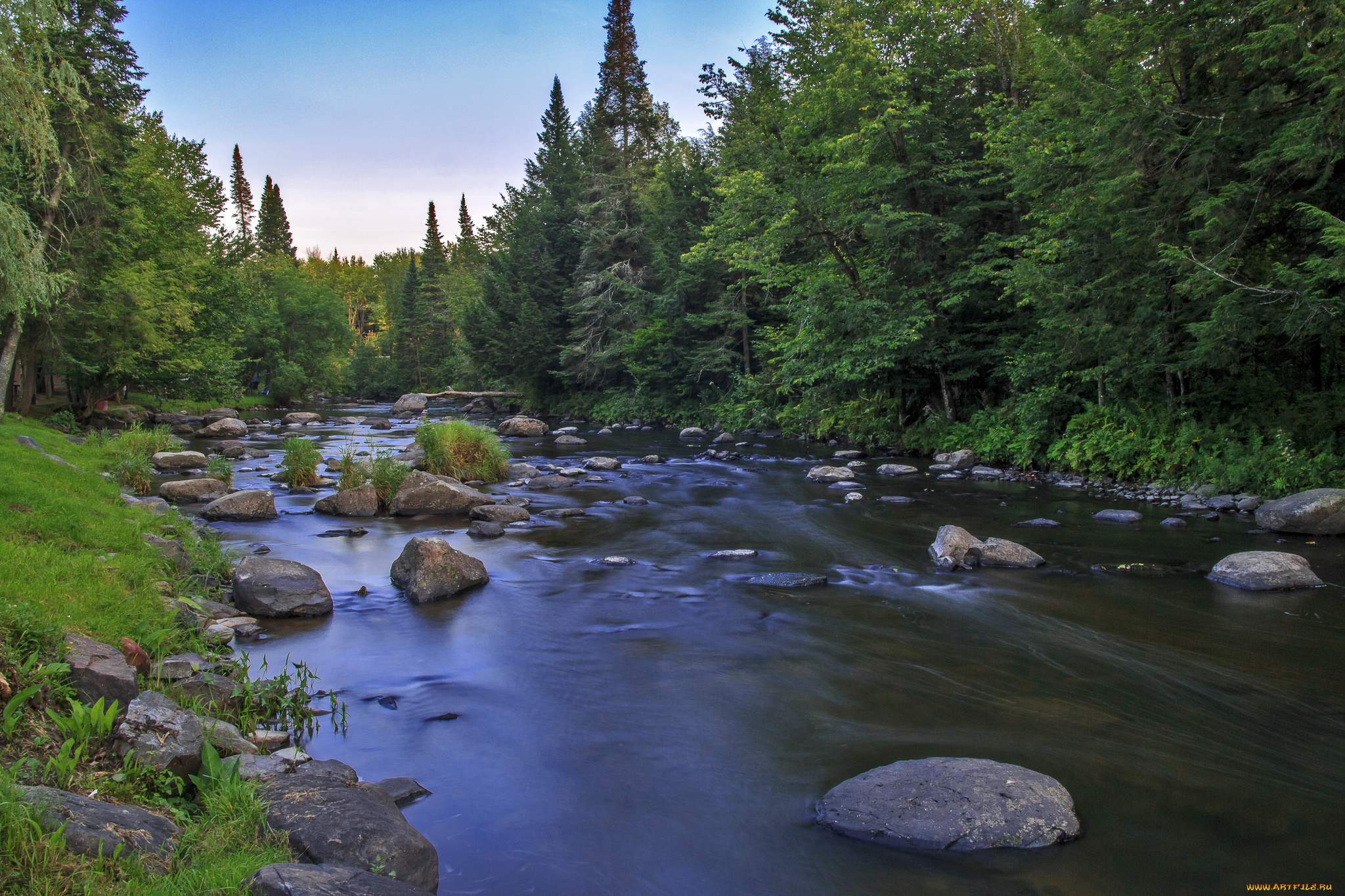 природа, реки, озера, река, лес