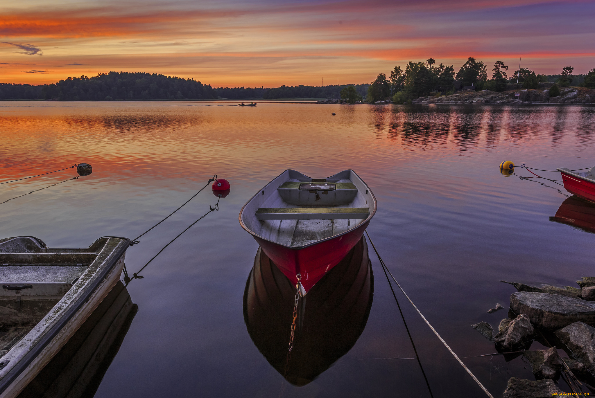 корабли, лодки, , шлюпки, лес, река