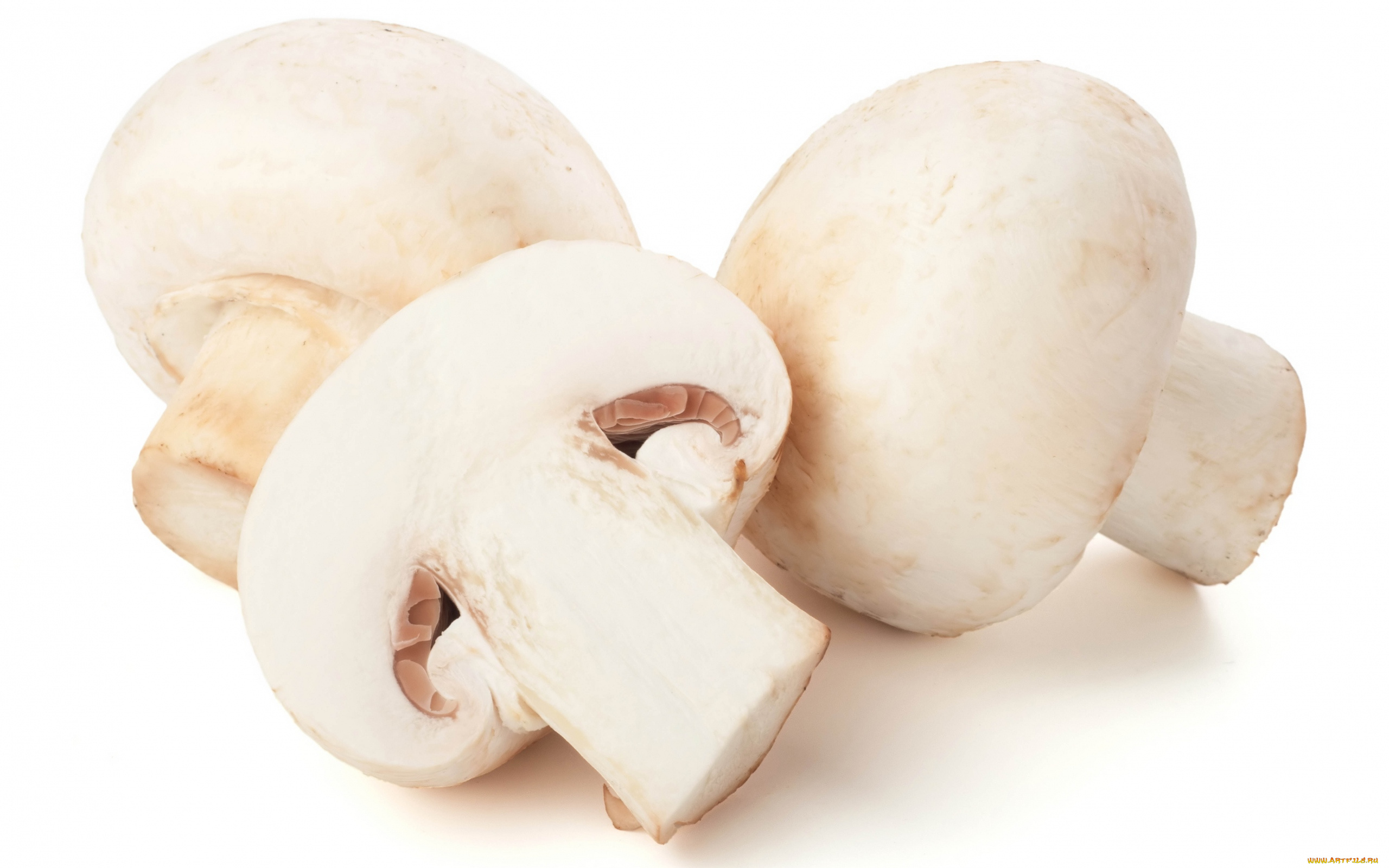 еда, грибы, , грибные, блюда, шампиньоны