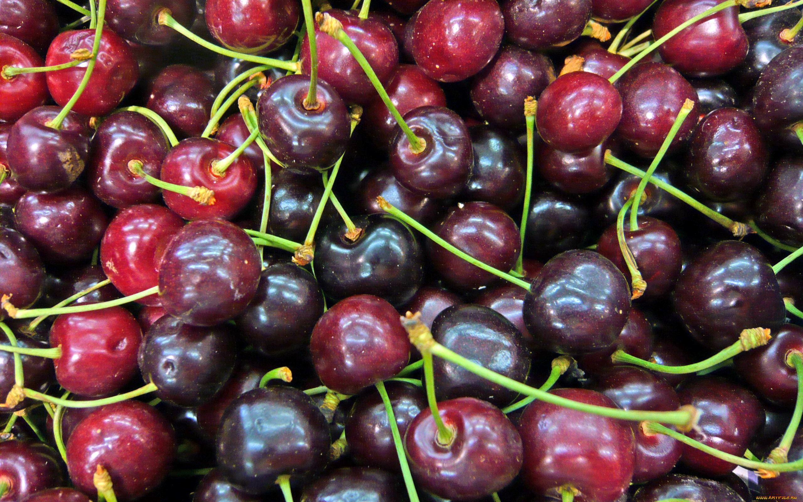 еда, вишня, , черешня, ягоды, много, зрелая