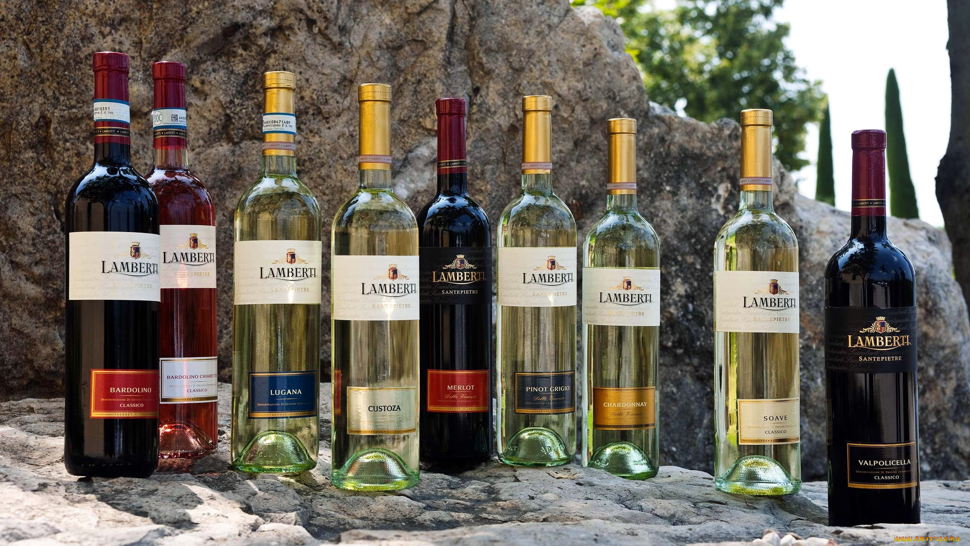 бренды, бренды, напитков, , разное, белое, много, красное, вино, бутылки