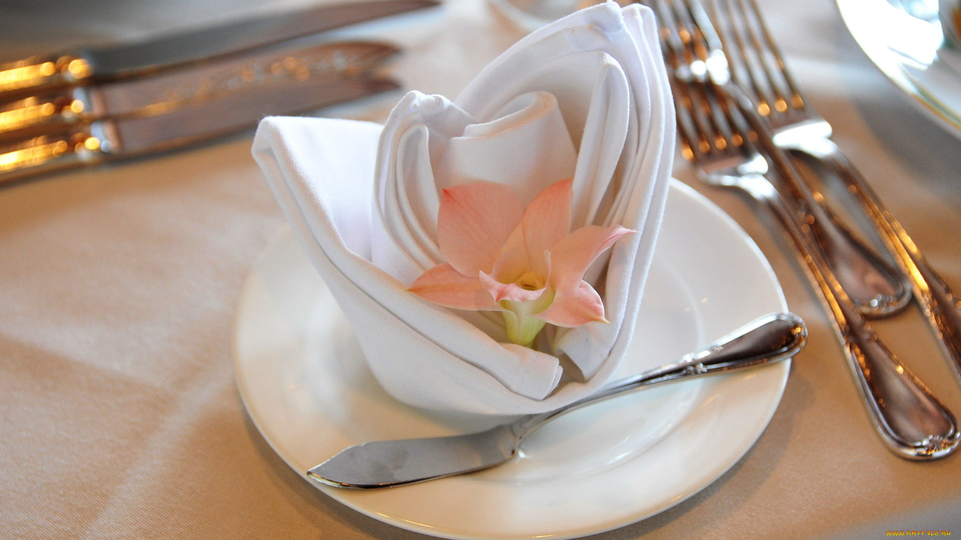 интерьер, декор, , отделка, , сервировка, цветок, салфетка, приборы