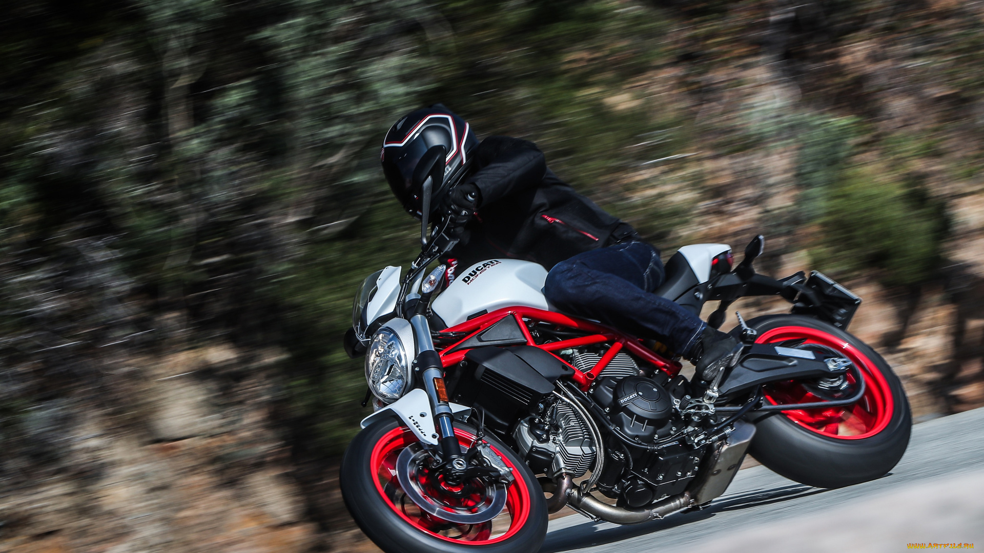 мотоциклы, ducati