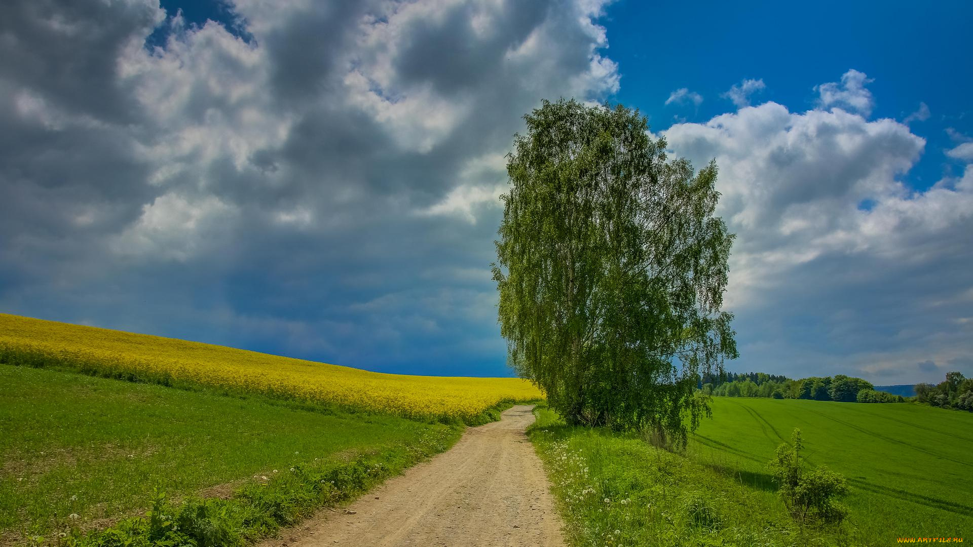 природа, дороги, деревья, дорога, поле, пейзаж