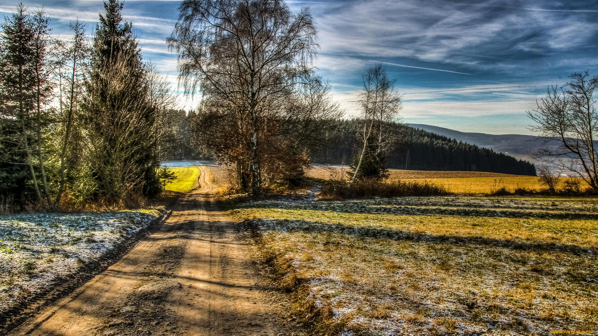 природа, дороги, дорога, деревья, поле, пейзаж