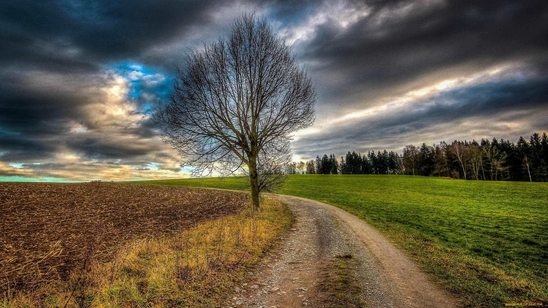 природа, дороги, дорога, поле, пейзаж, деревья