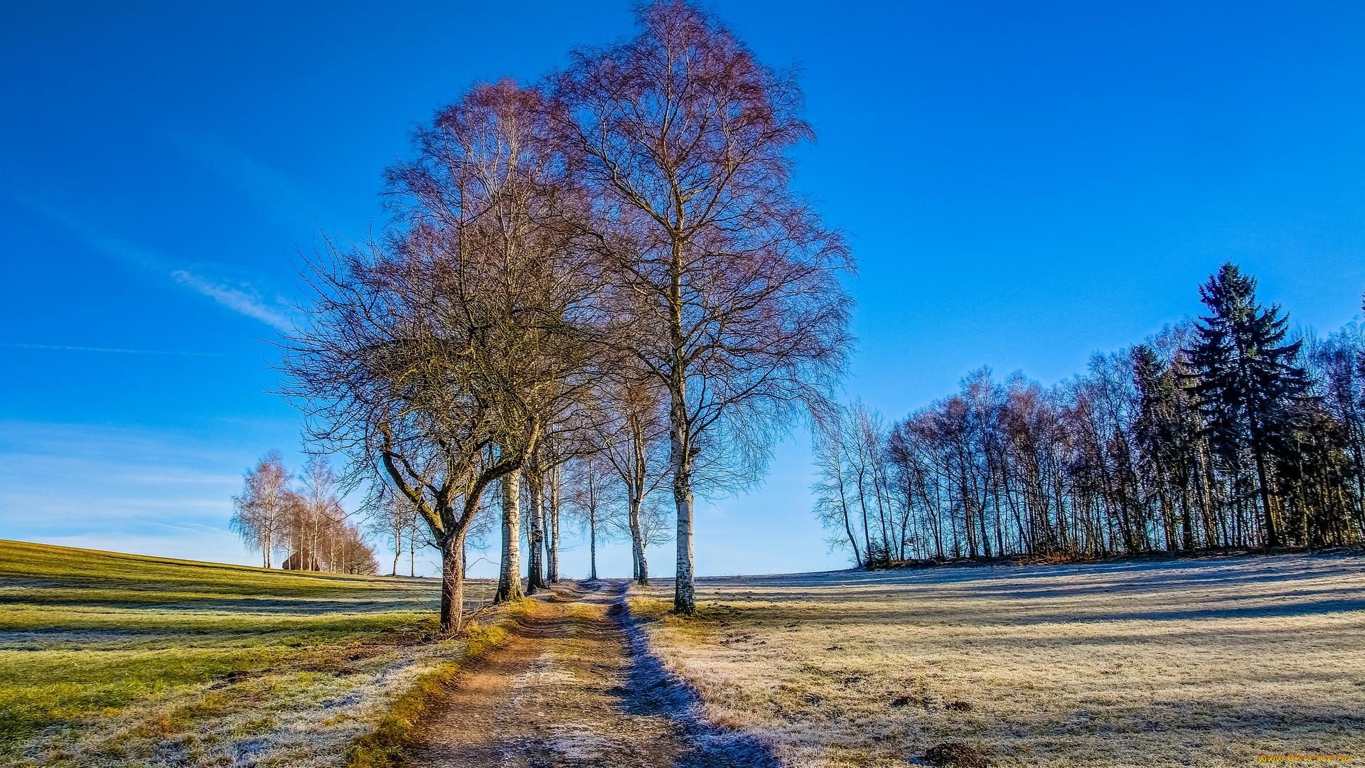 природа, дороги, дорога, поле, пейзаж, деревья