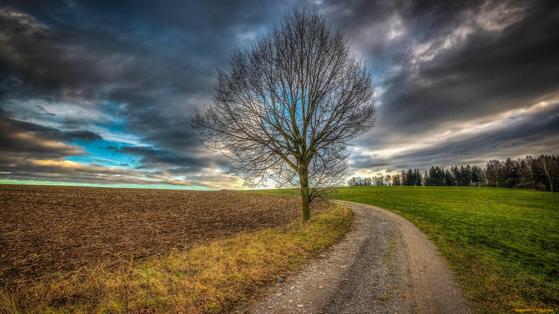 природа, дороги, дорога, поле, пейзаж, деревья