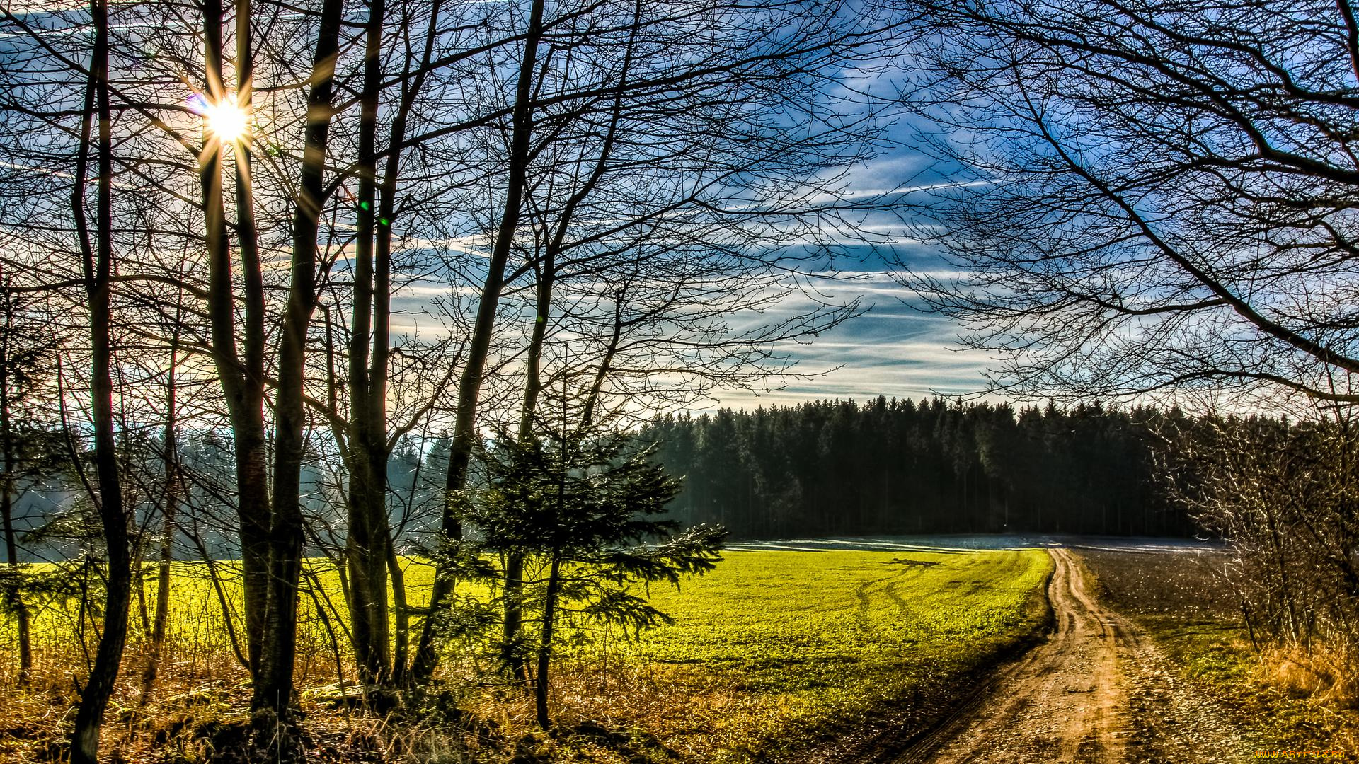 природа, дороги, пейзаж, деревья, дорога, поле