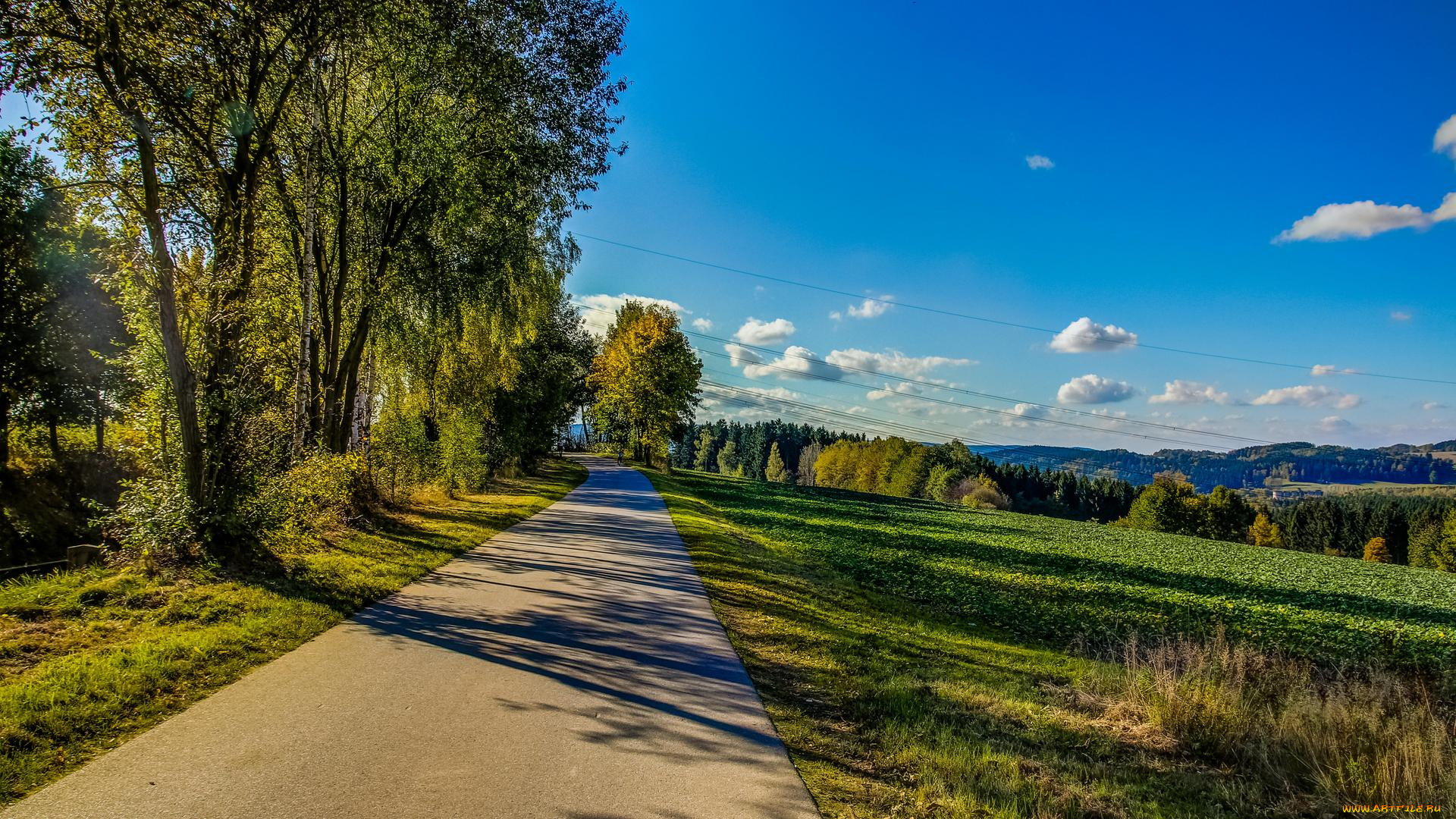 природа, дороги, пейзаж, деревья, дорога, поле