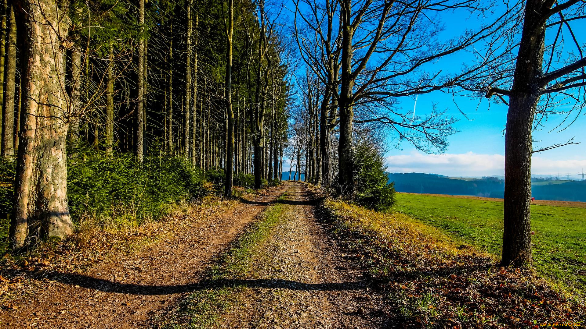 природа, дороги, пейзаж, деревья, дорога, поле