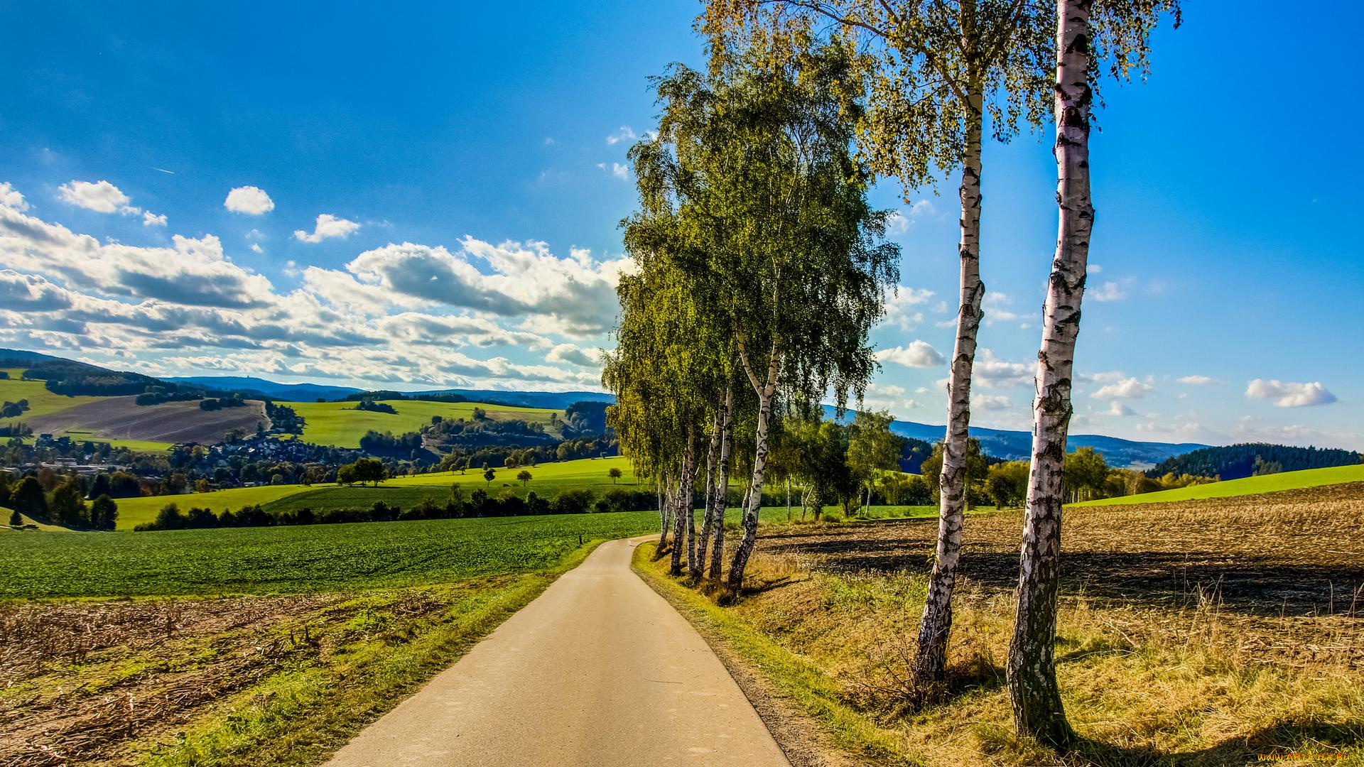 природа, дороги, пейзаж, деревья, дорога, поле