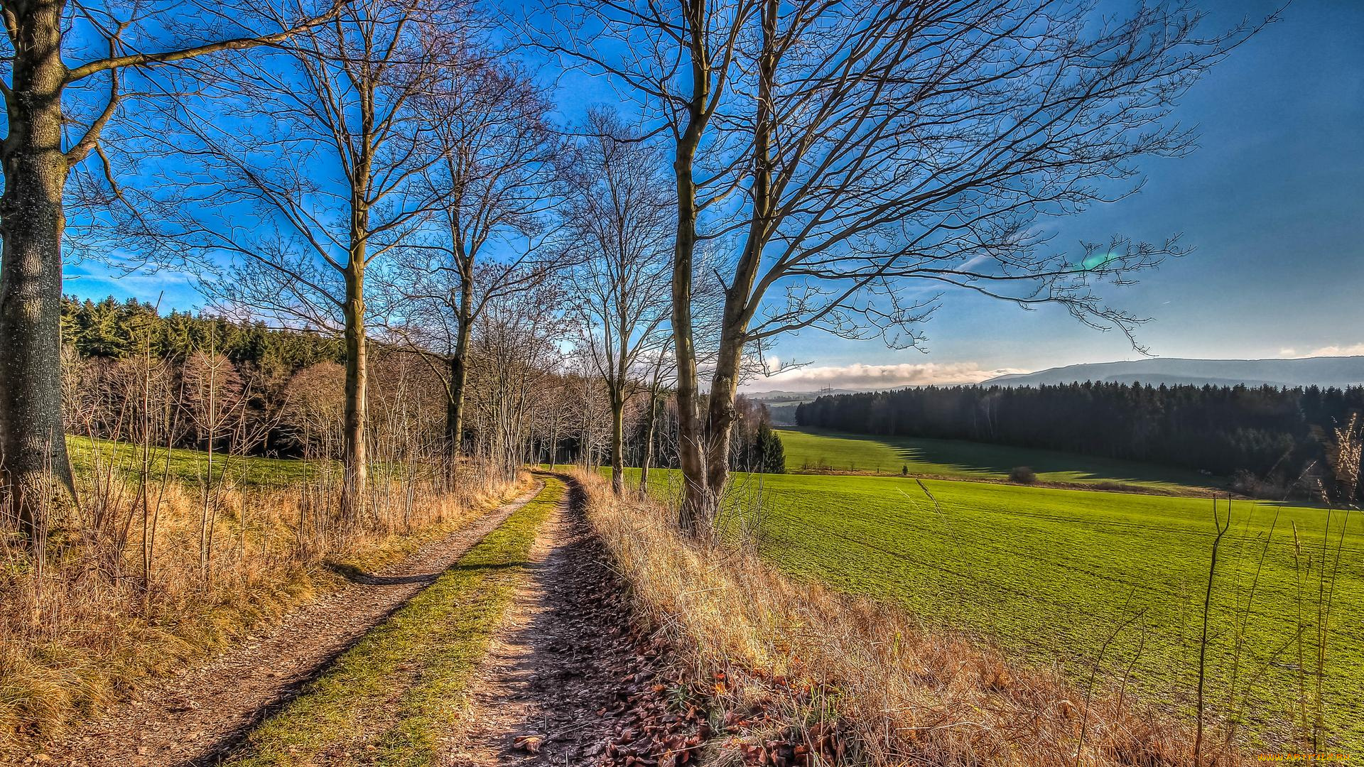 природа, дороги, пейзаж, поле, деревья, дорога