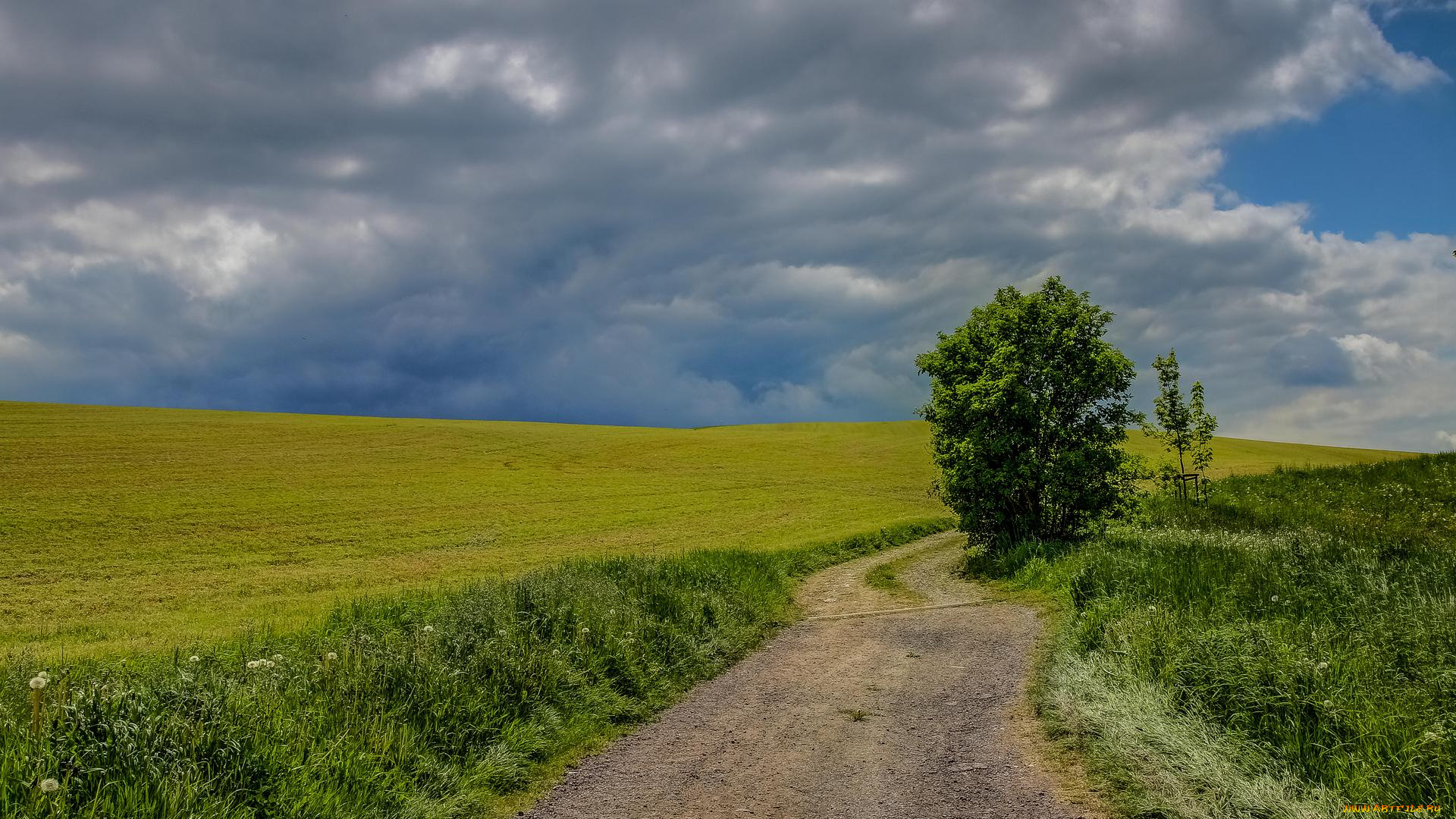 природа, дороги, пейзаж, тучи, деревья, дорога, поле