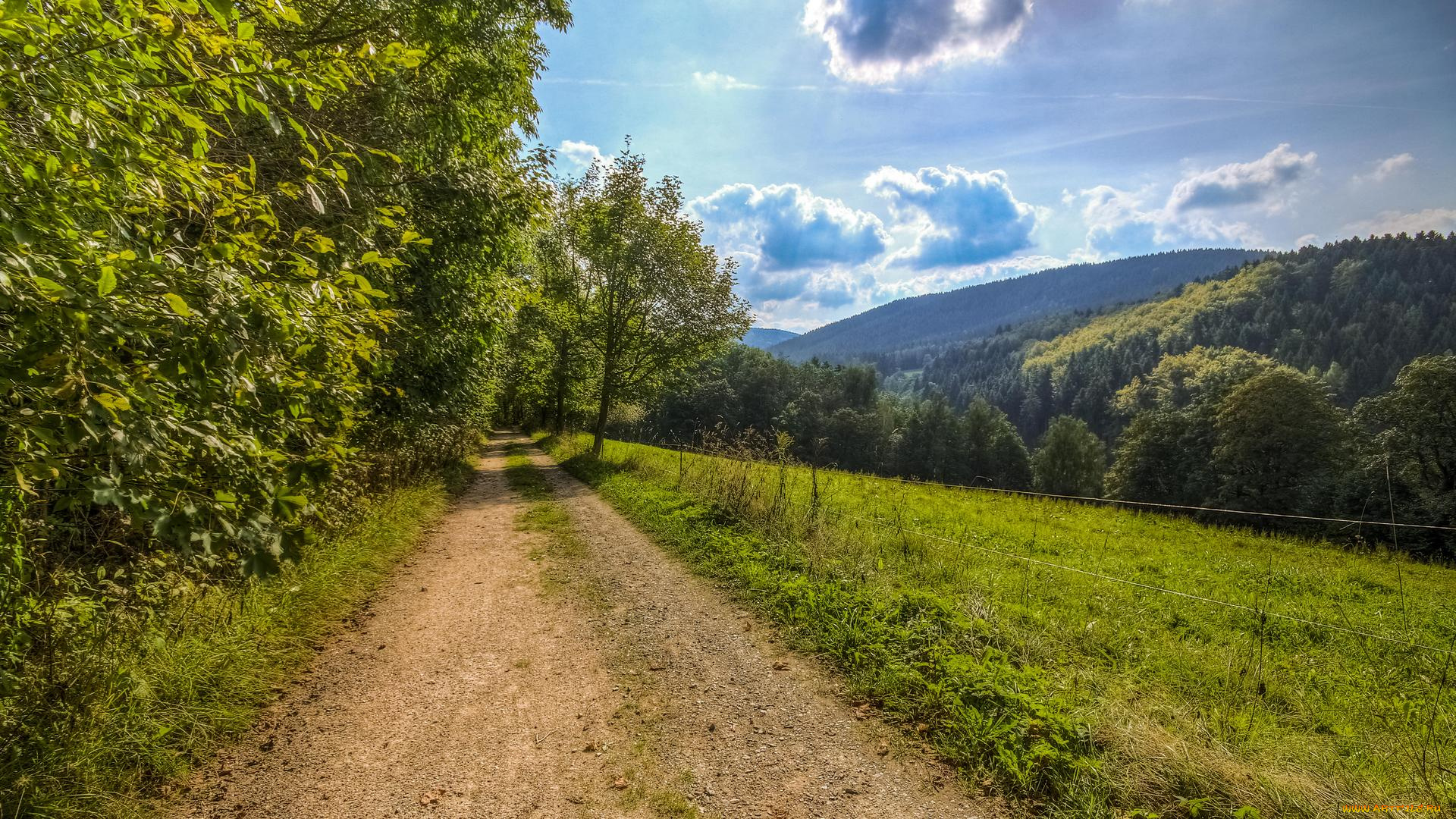 природа, дороги, пейзаж, тучи, деревья, дорога, поле