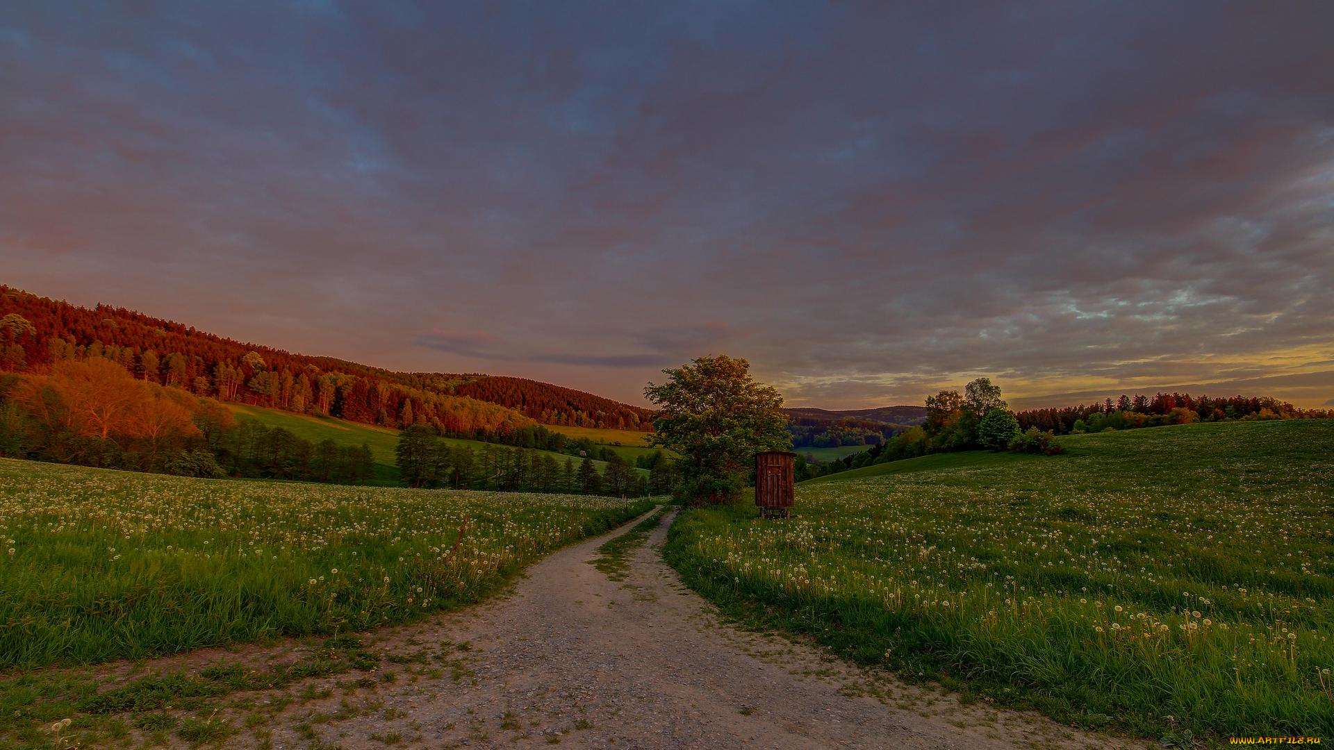 природа, дороги, пейзаж, тучи, деревья, дорога, поле