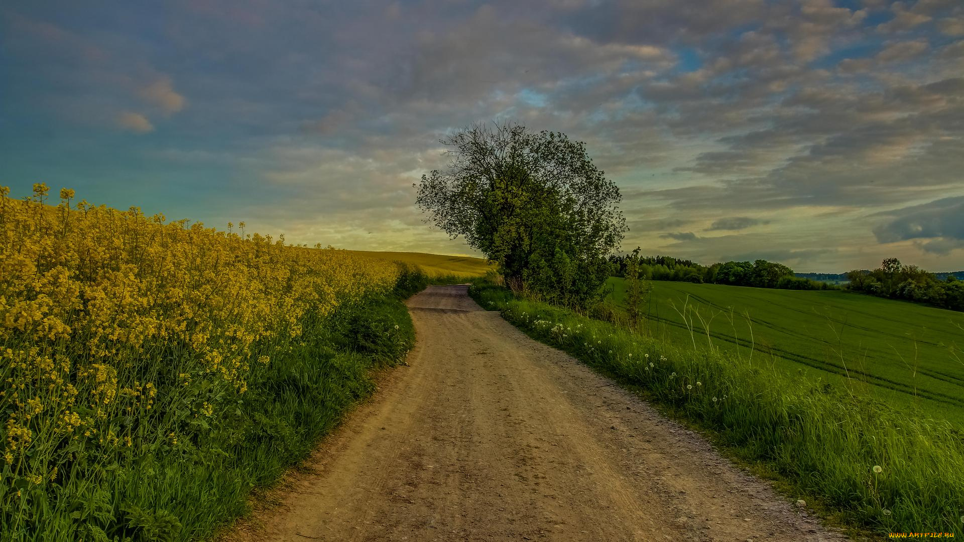 природа, дороги, пейзаж, тучи, деревья, дорога, поле