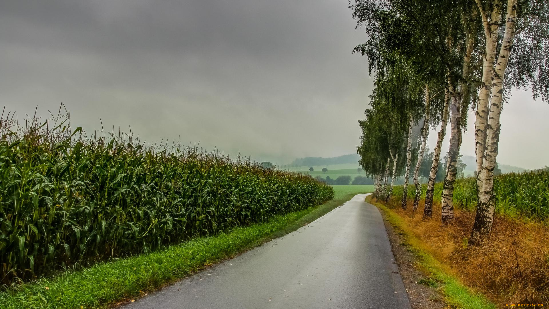 природа, дороги, пейзаж, тучи, поле, деревья, дорога
