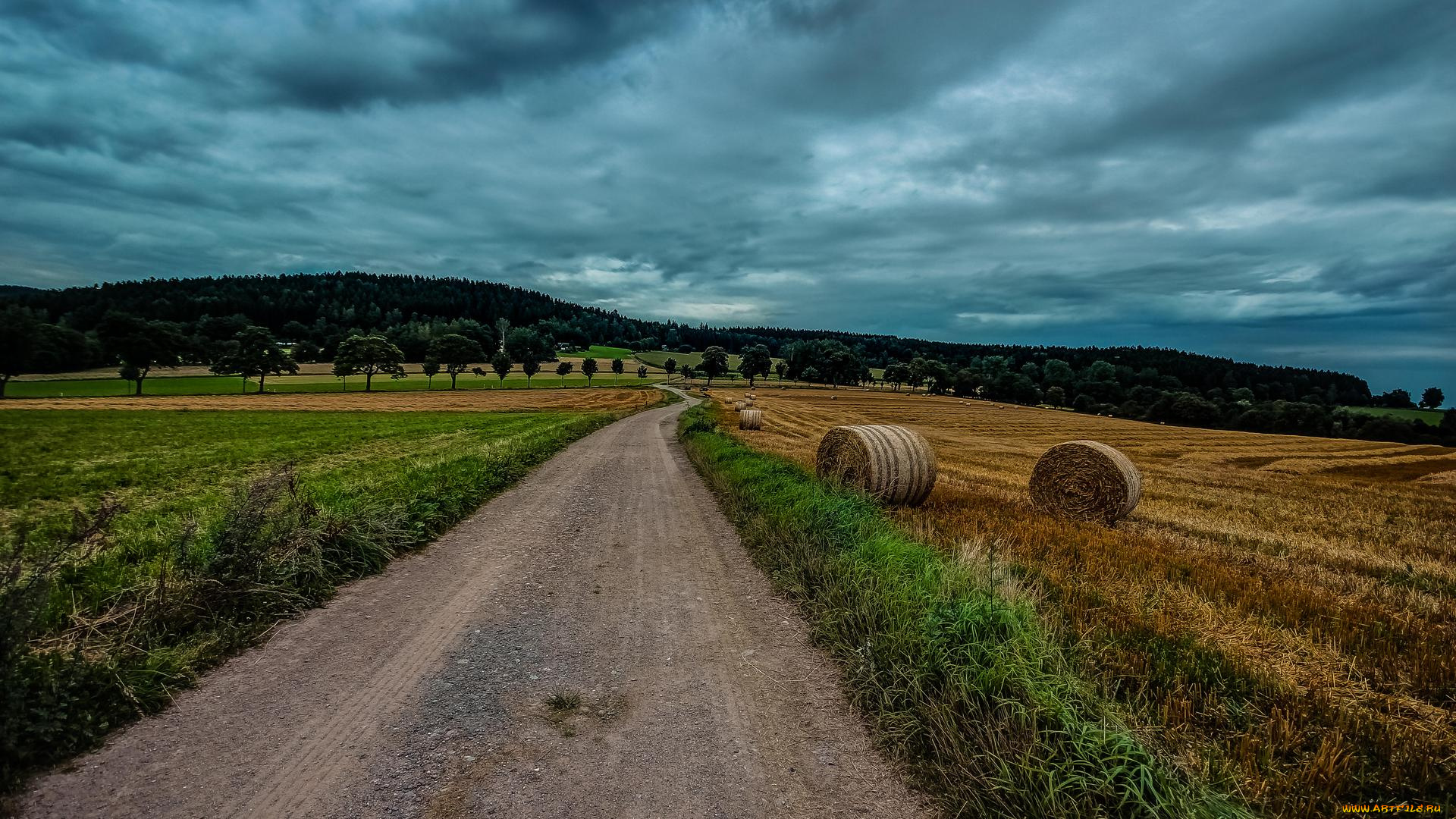 природа, дороги, тучи, поле, деревья, дорога, пейзаж