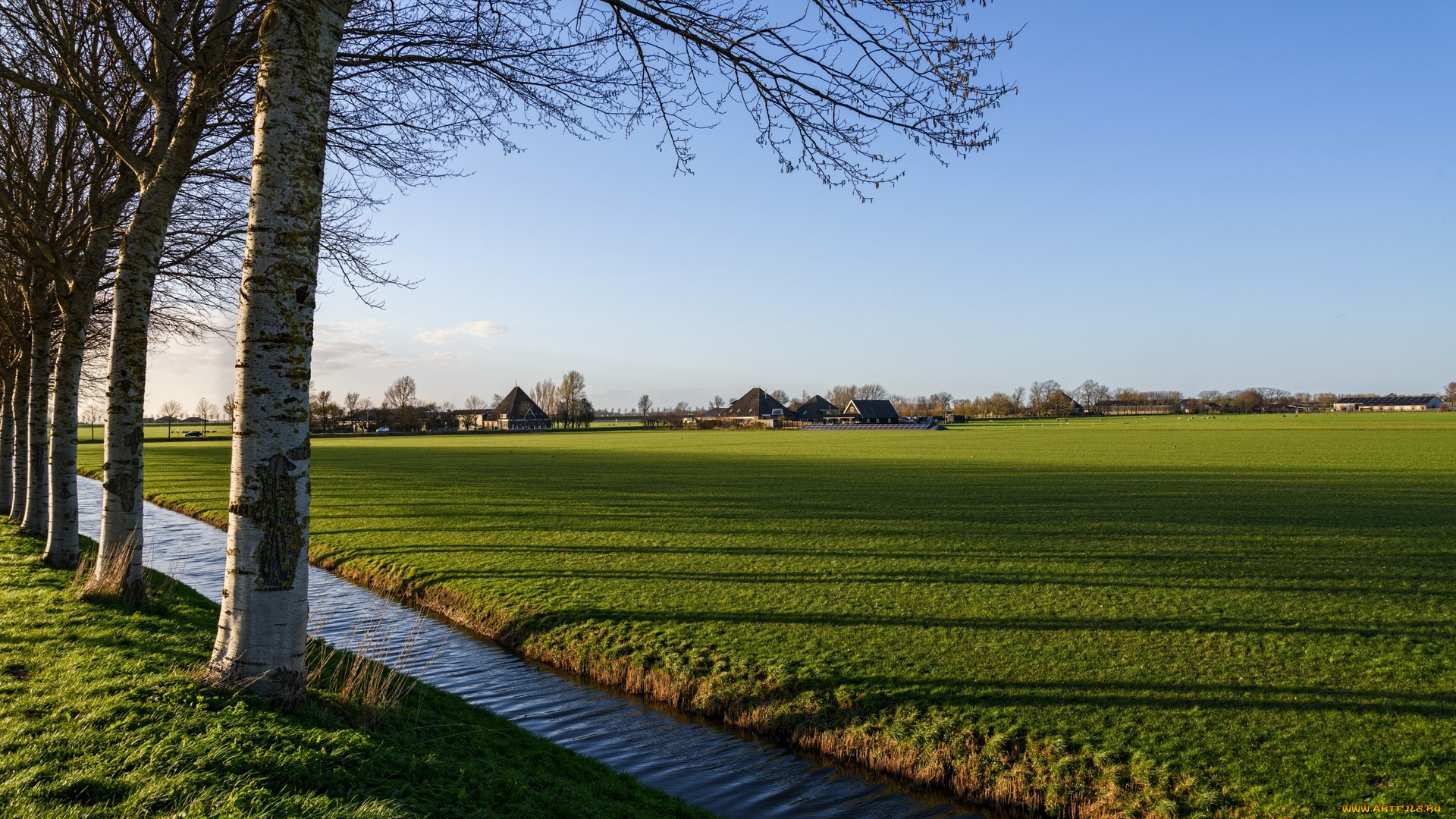 природа, луга, поле, трава, деревья, канал, постройки