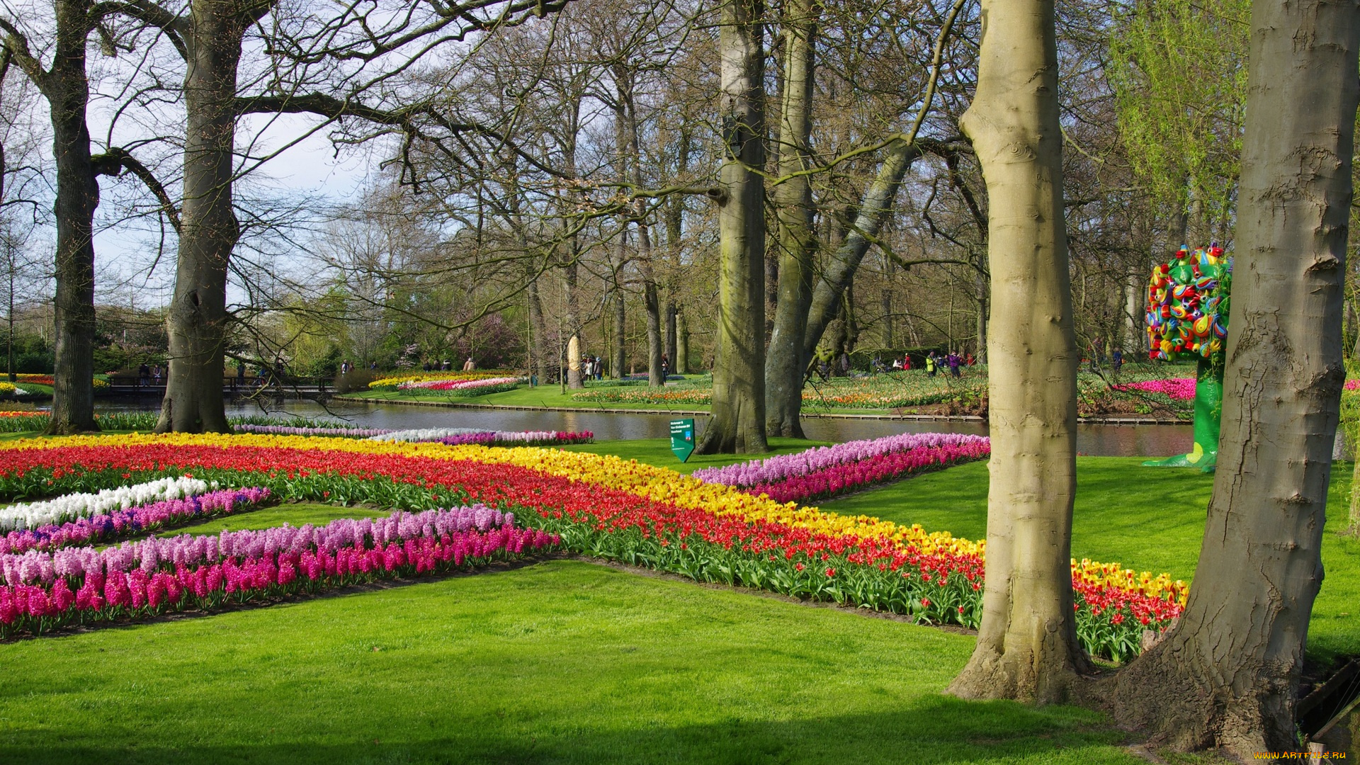 природа, парк, цветы, разные, деревья