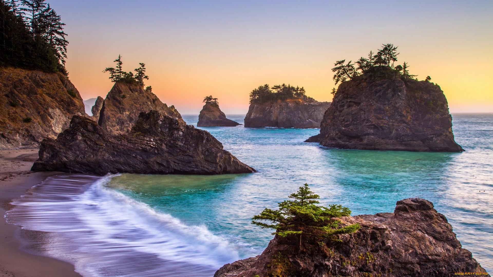 природа, побережье, песок, пена, деревья, водоем