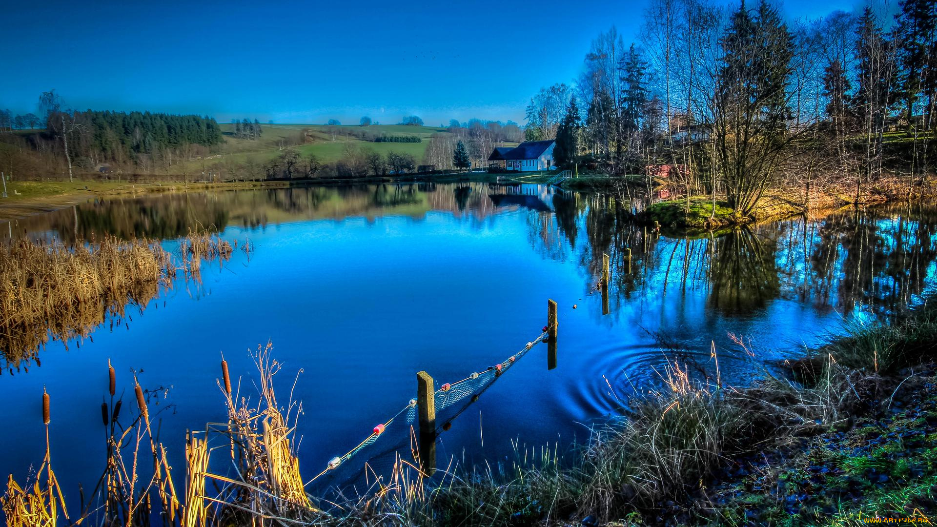 природа, реки, озера, пейзаж, деревья, водоём, озеро