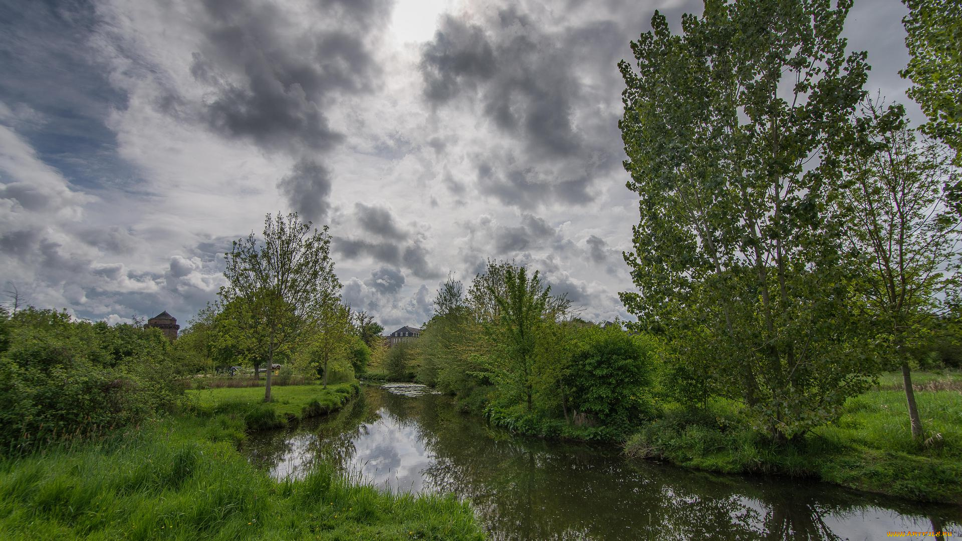 природа, реки, озера, река, деревья