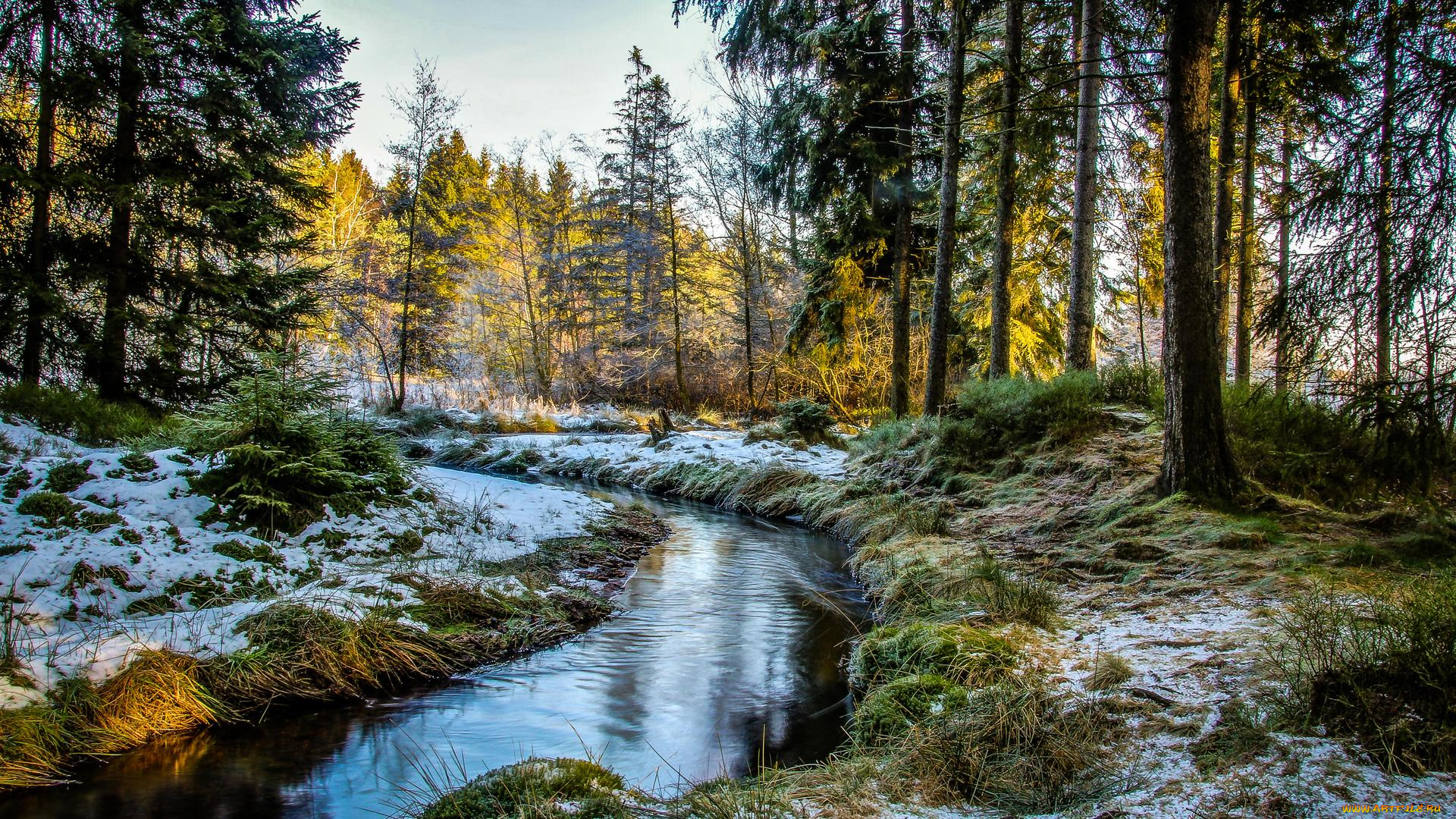 природа, реки, озера, река, деревья, лес