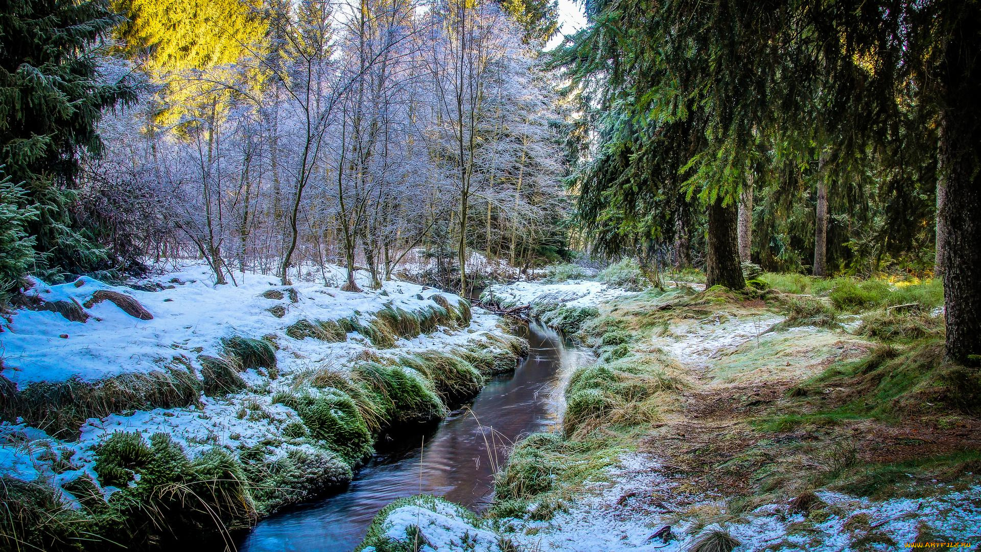 природа, реки, озера, река, деревья, лес