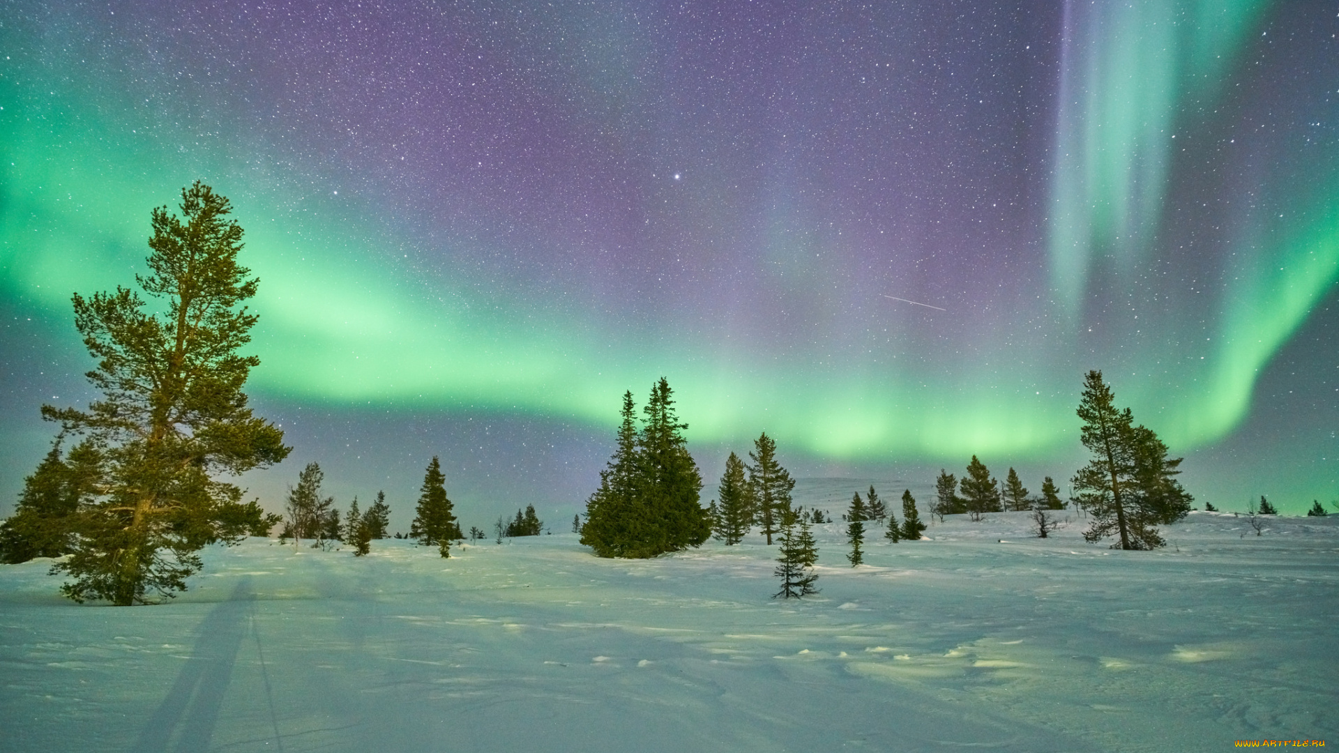 природа, северное, сияние, сполохи, ночь