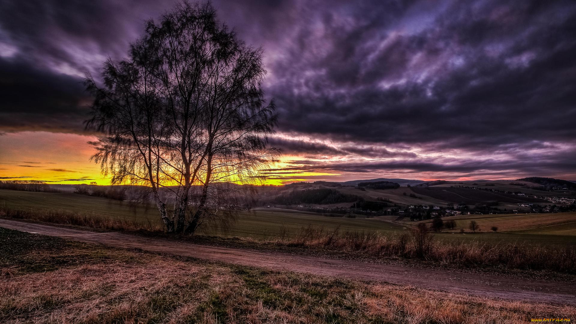 природа, восходы, закаты, пейзаж, деревья, дорога, поле