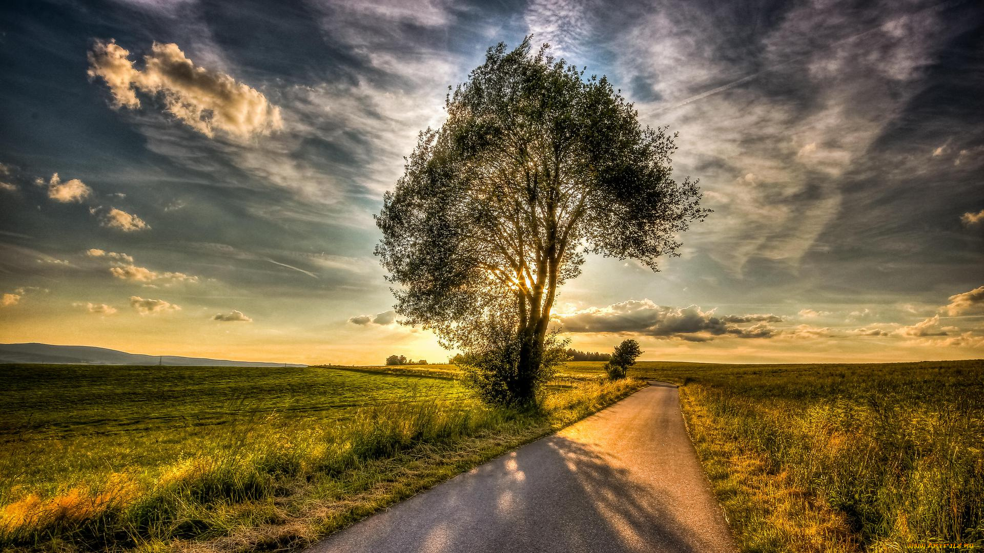 природа, восходы, закаты, пейзаж, деревья, дорога, поле