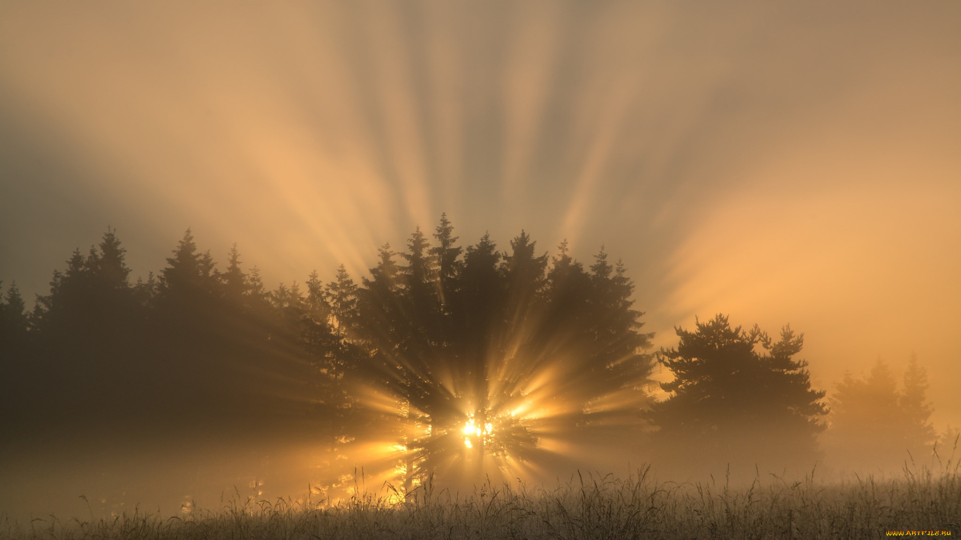 природа, восходы, закаты, рассвет