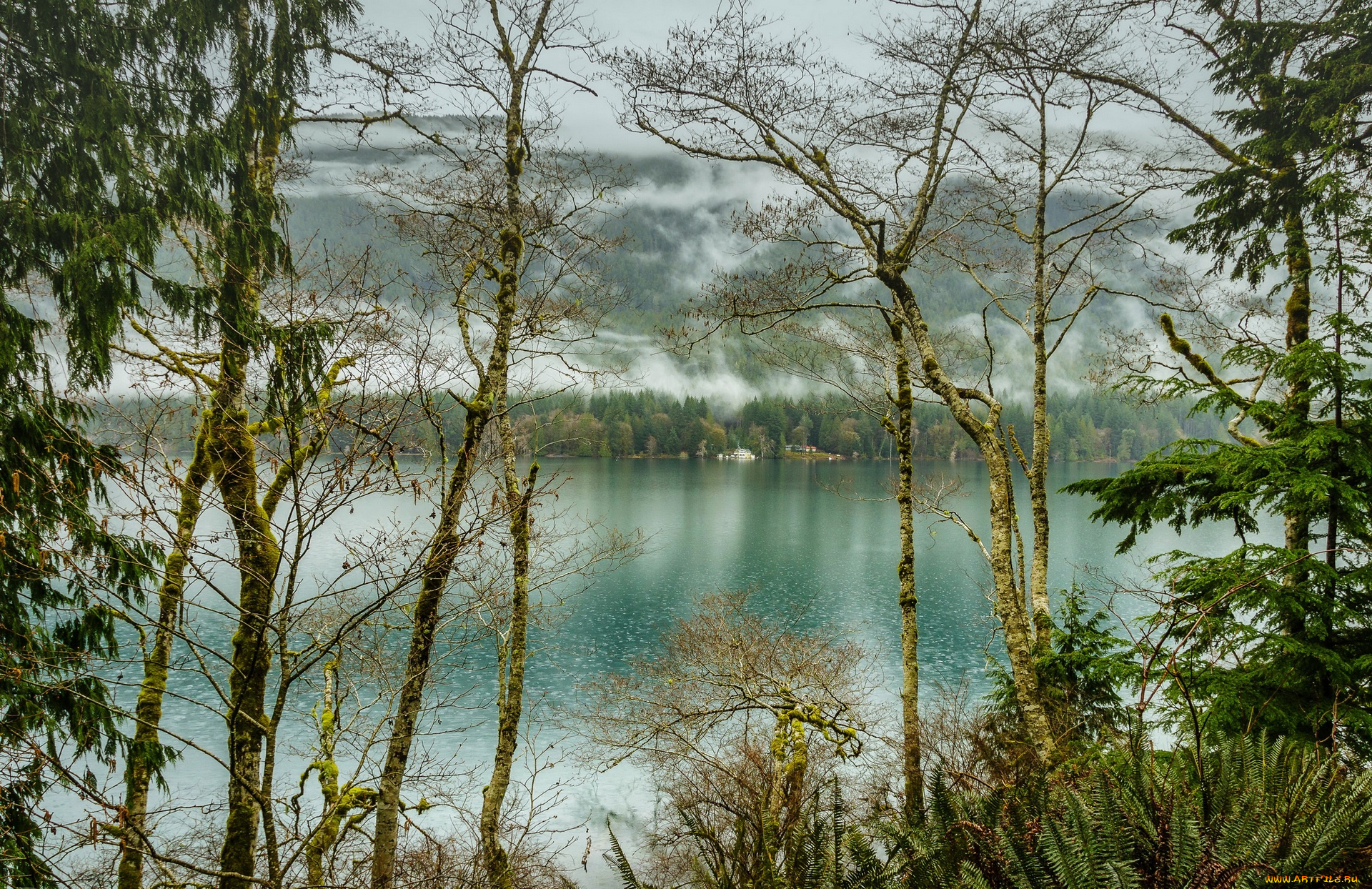 америка, природа, реки, озера, облака, деревья, водоем