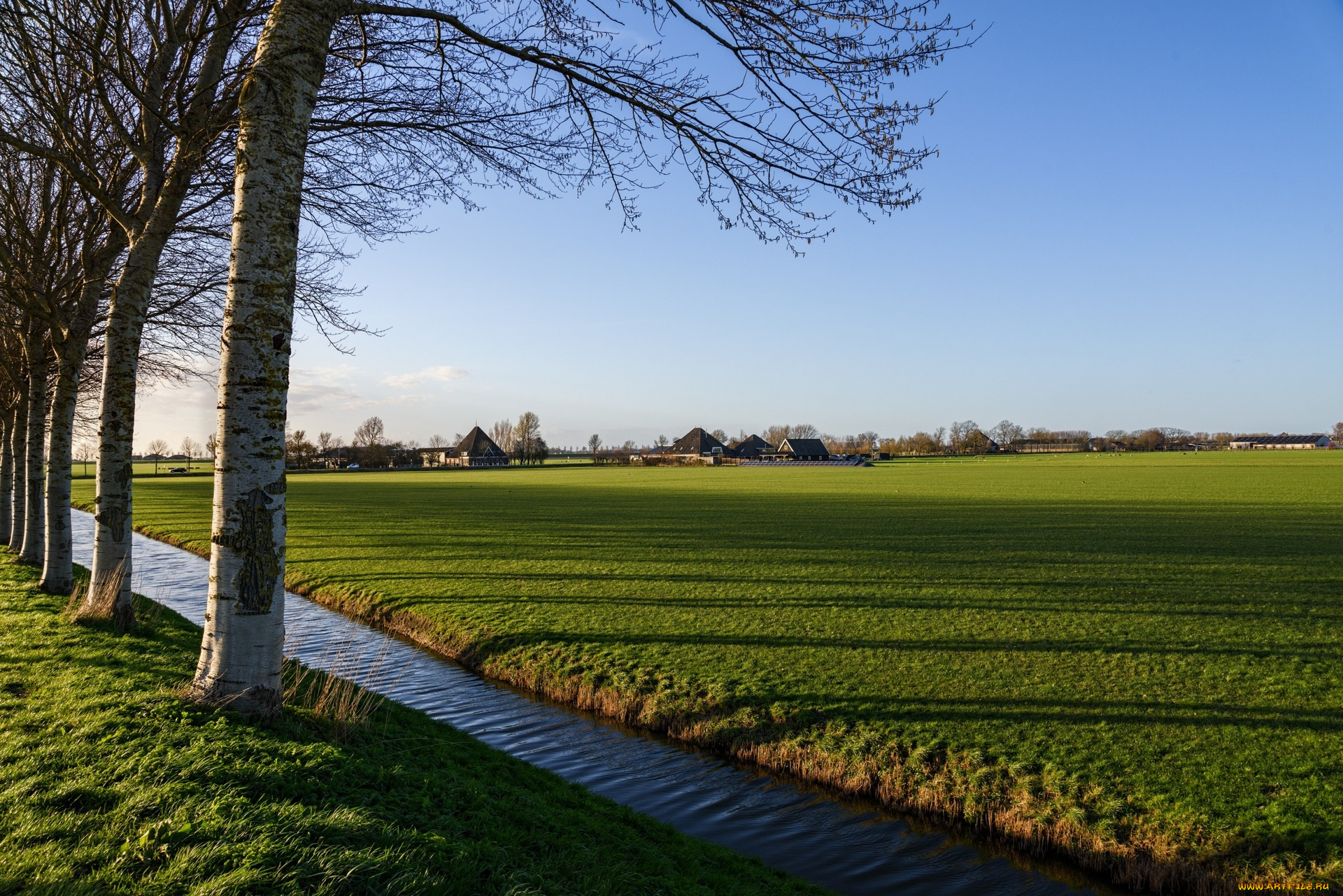 природа, луга, поле, трава, деревья, канал, постройки