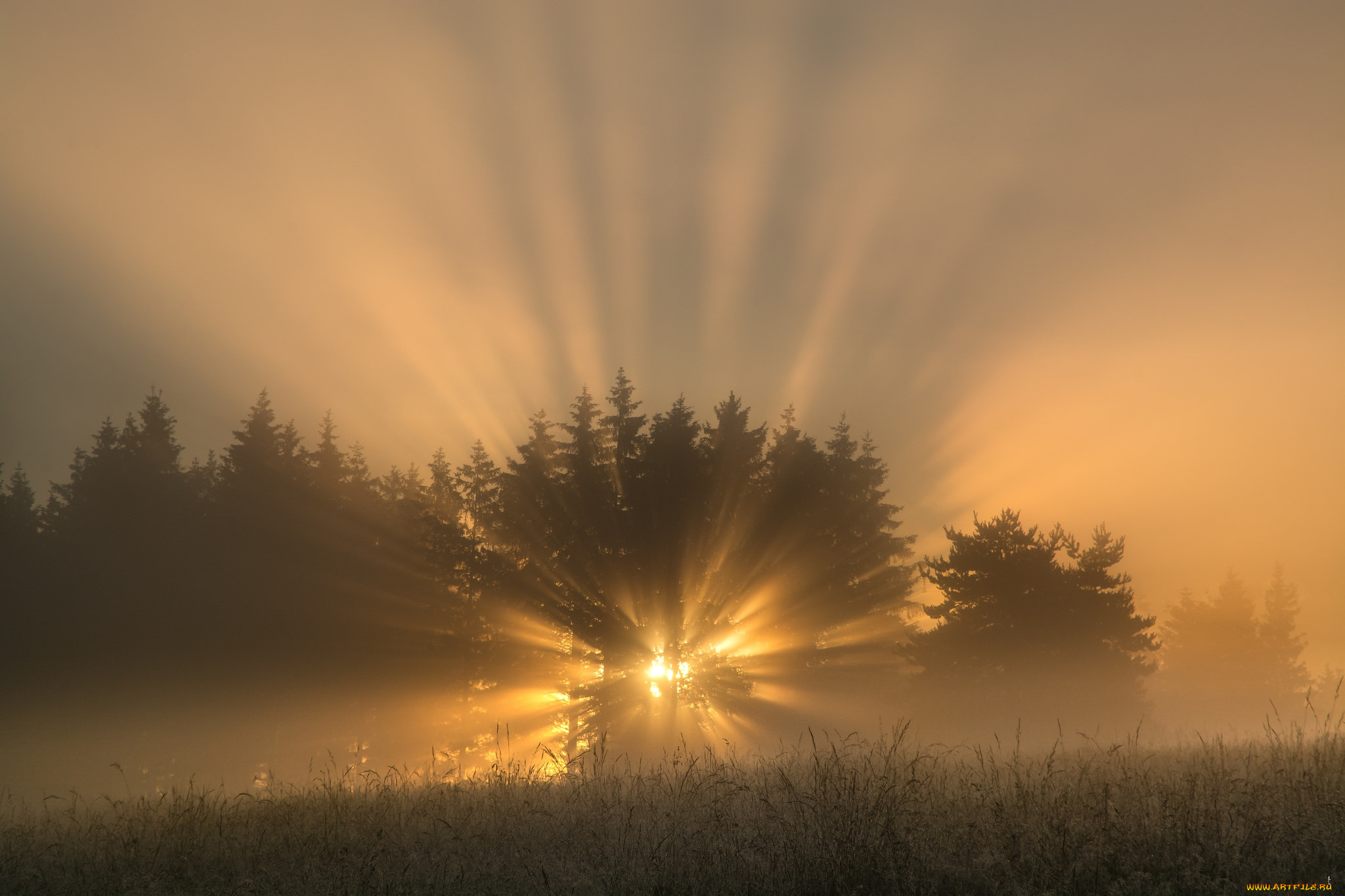 природа, восходы, закаты, рассвет