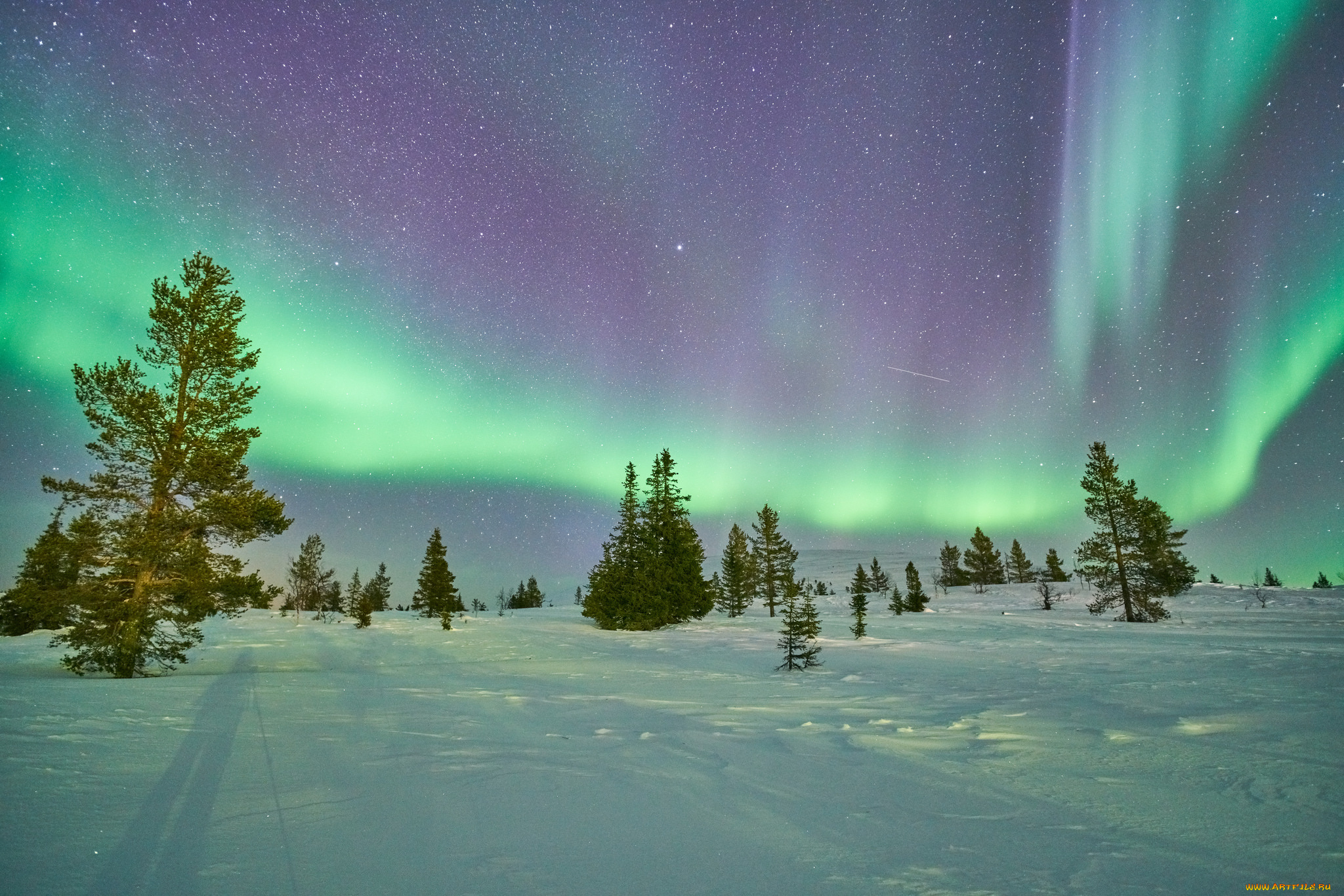 природа, северное, сияние, сполохи, ночь