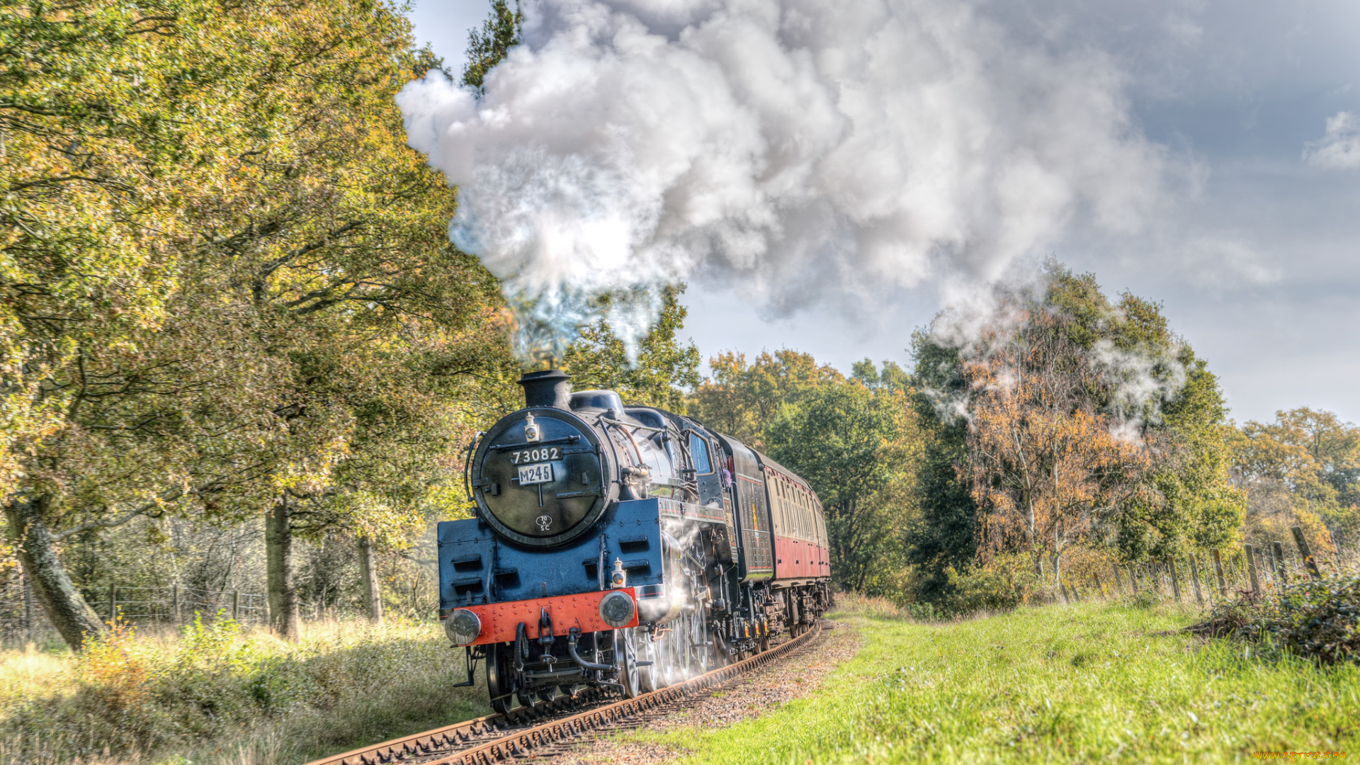 техника, паровозы, локомотив, состав