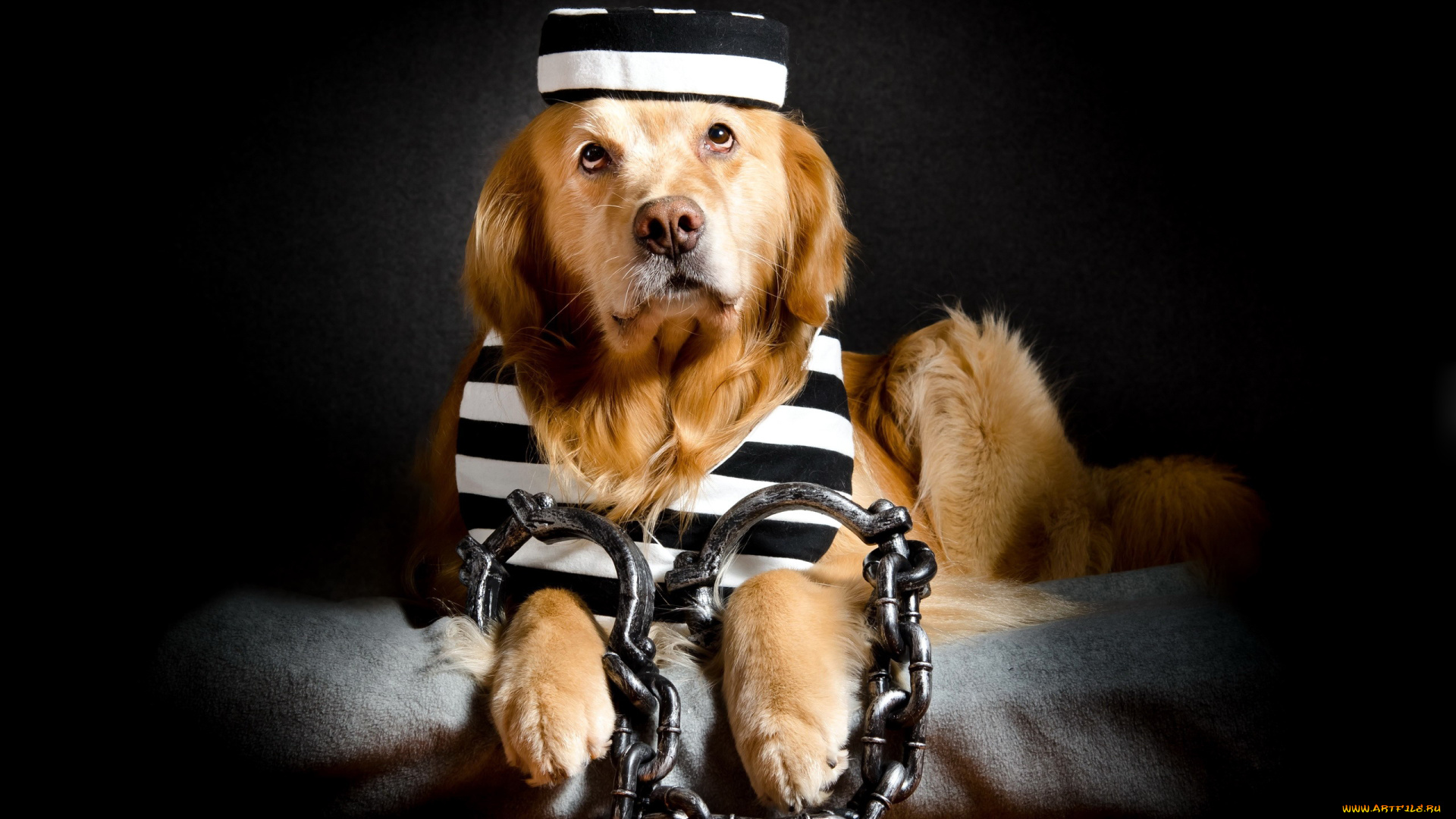 юмор, и, приколы, наручники