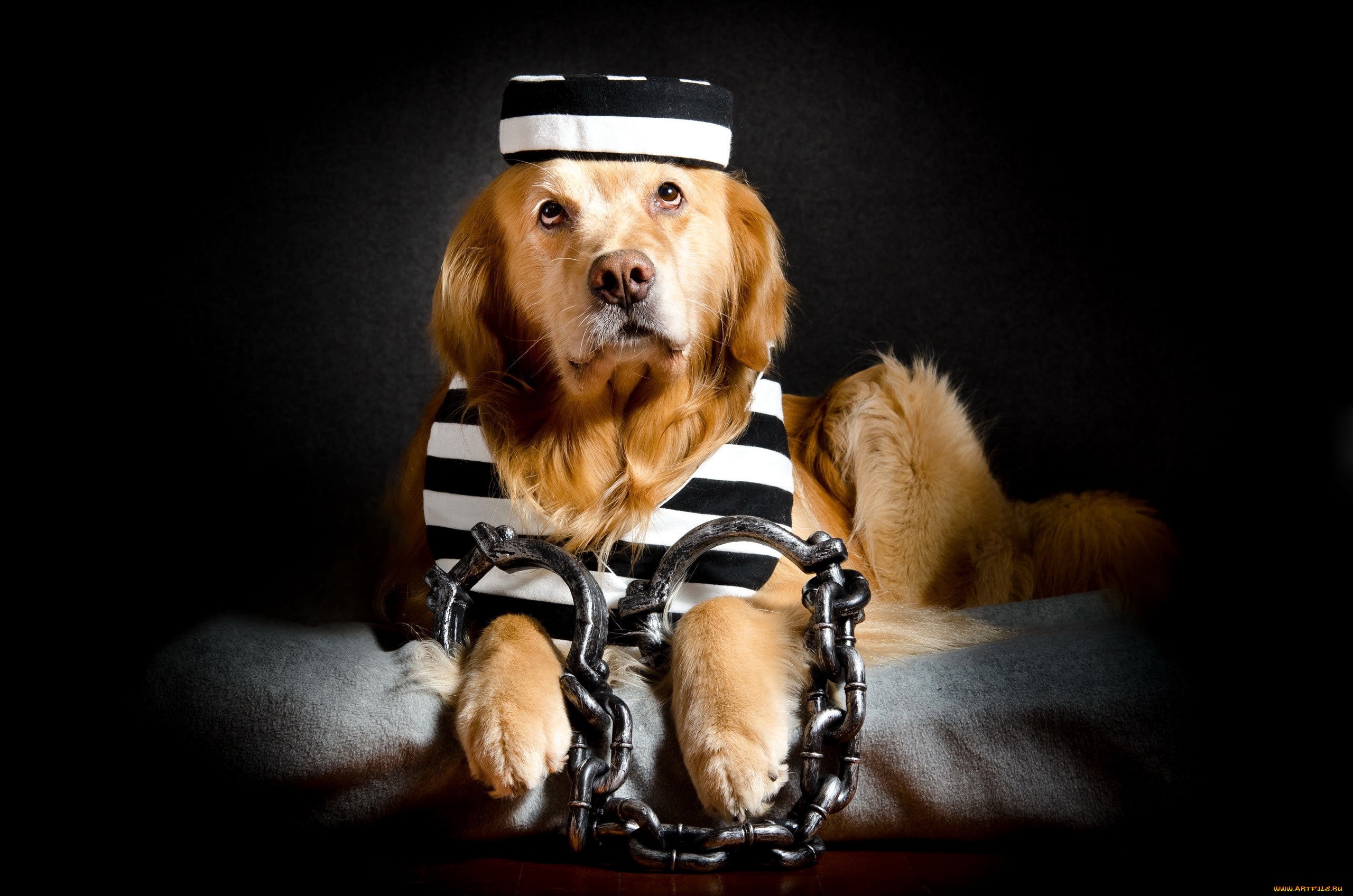 юмор, и, приколы, наручники