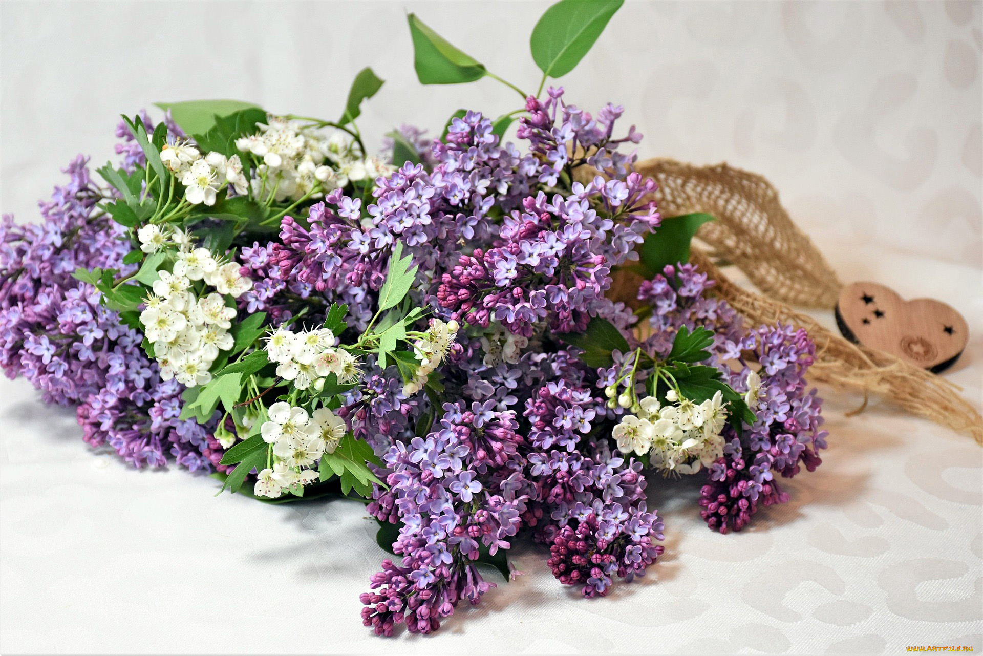 цветы, разные, вместе, сирень