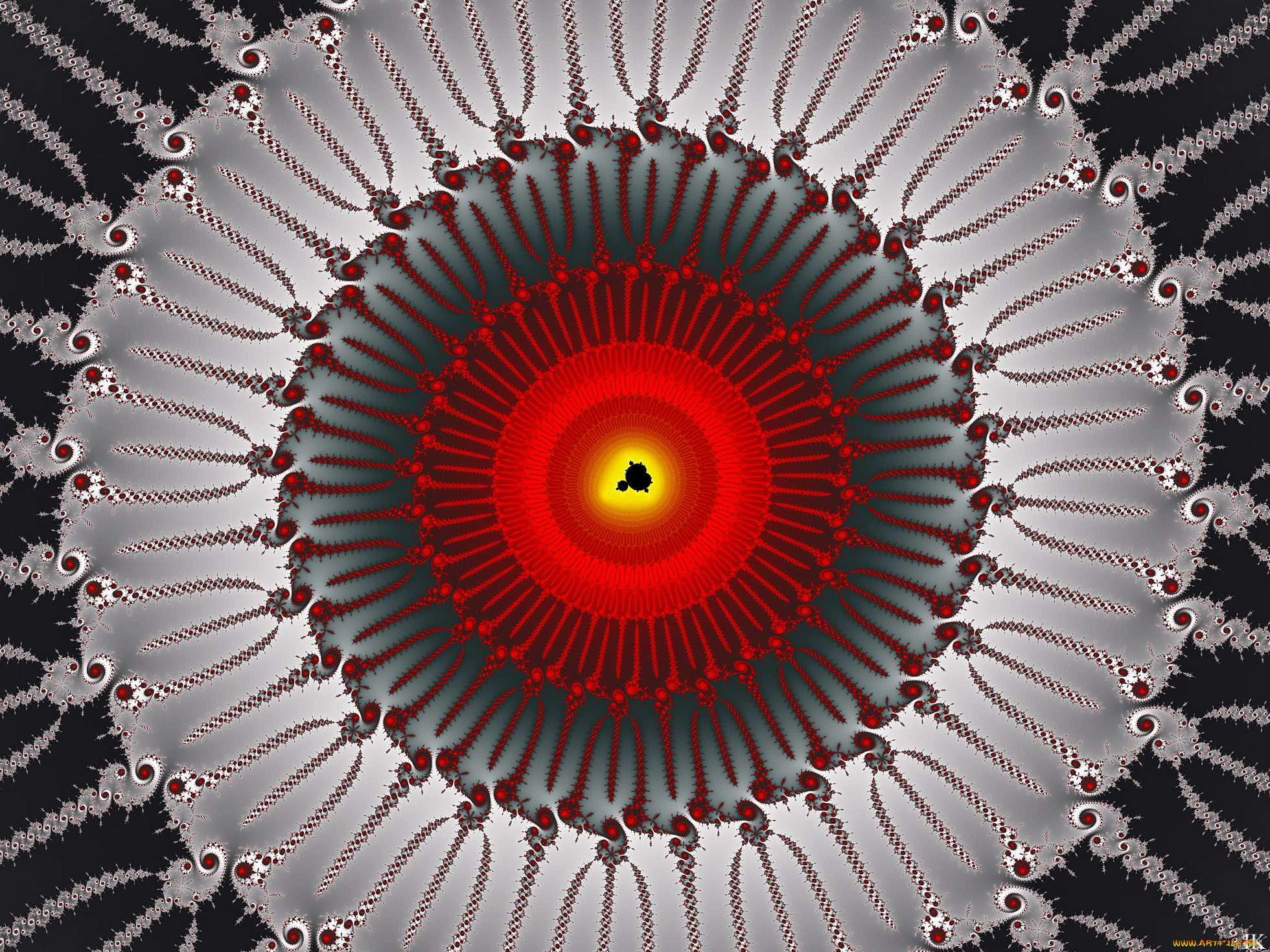 3д, графика, фракталы, , fractal, узор, фон, цвет