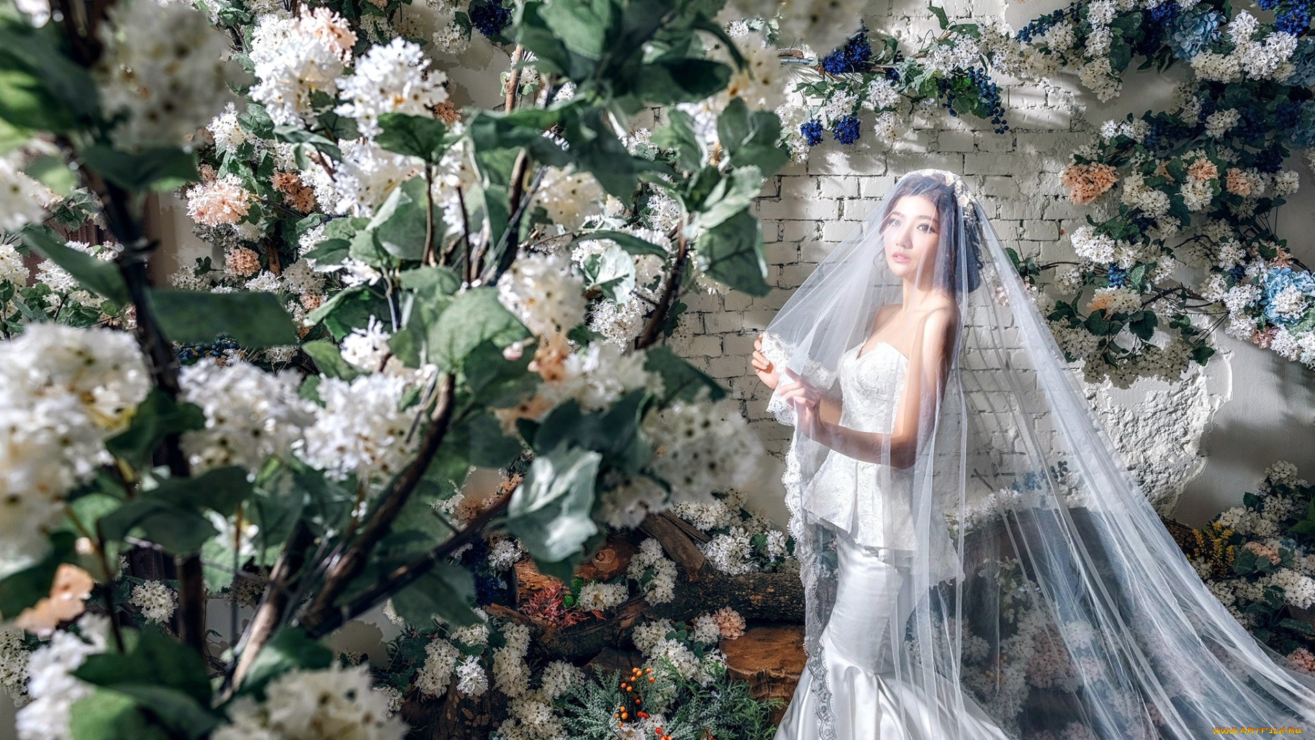 девушки, -, невесты, азиатка, фата