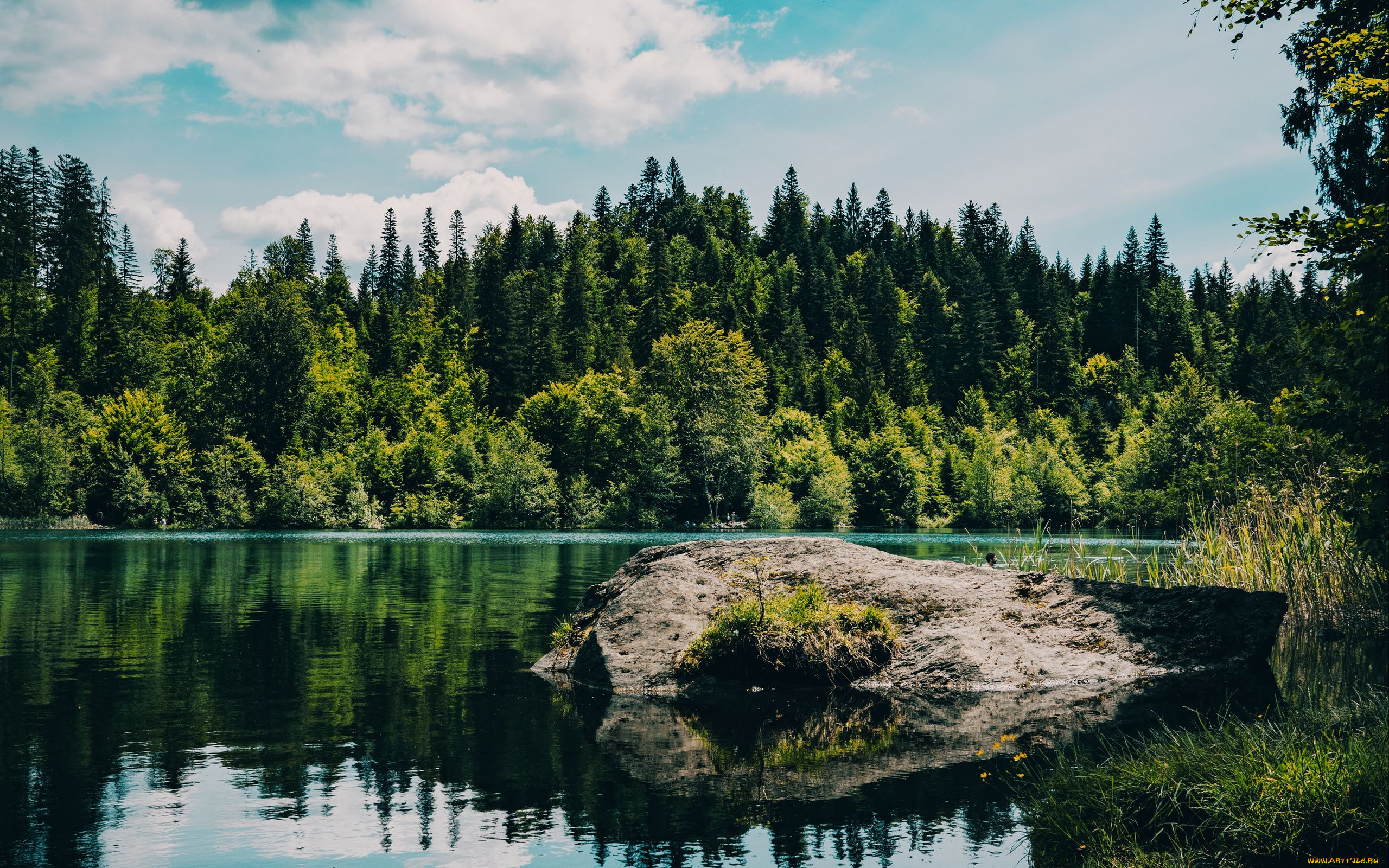 природа, реки, озера, река