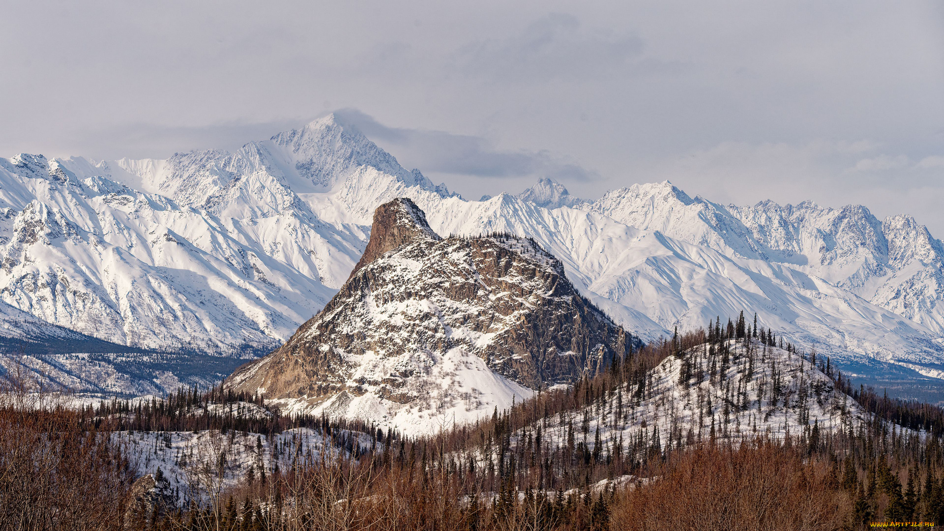 природа, горы, cнег, деревья, сухая, трава, кусты